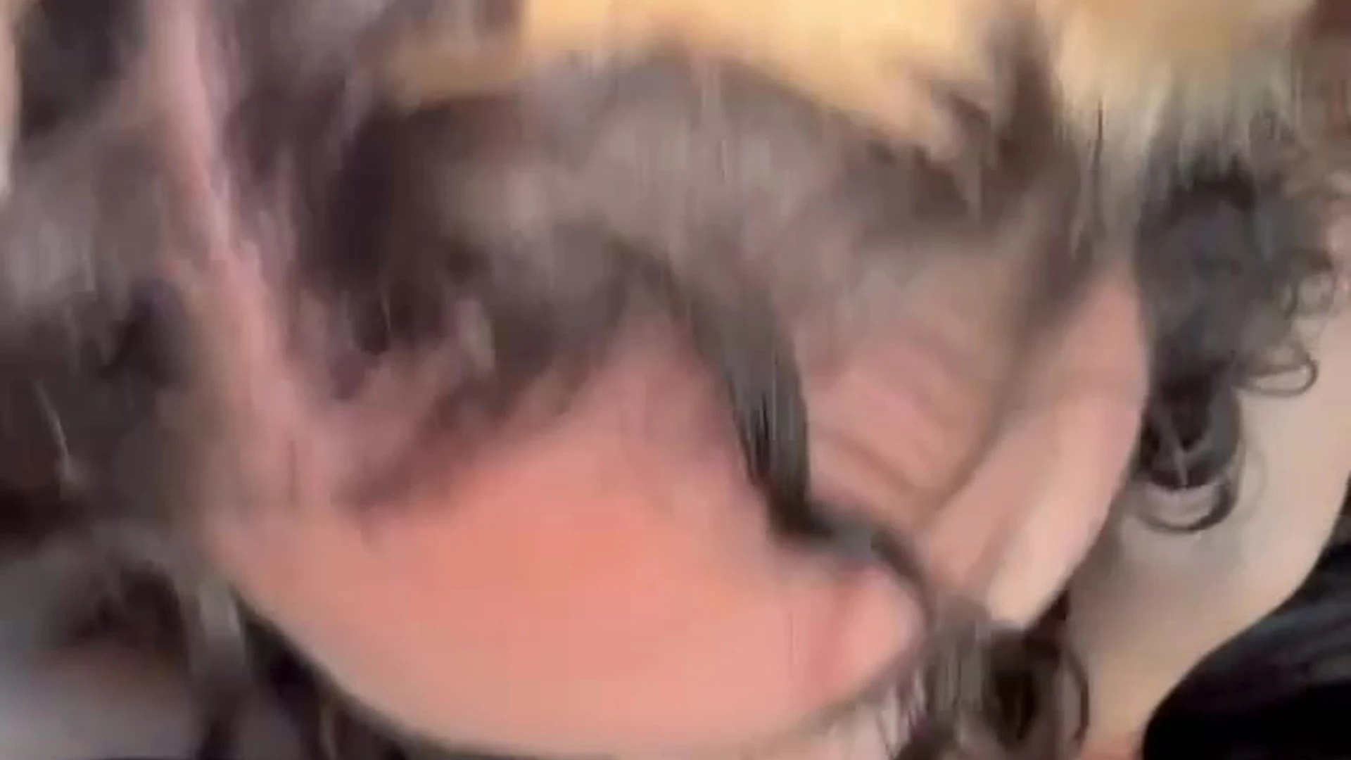 Sensational Devoted Male OF Troy Francisco tits Full Clip