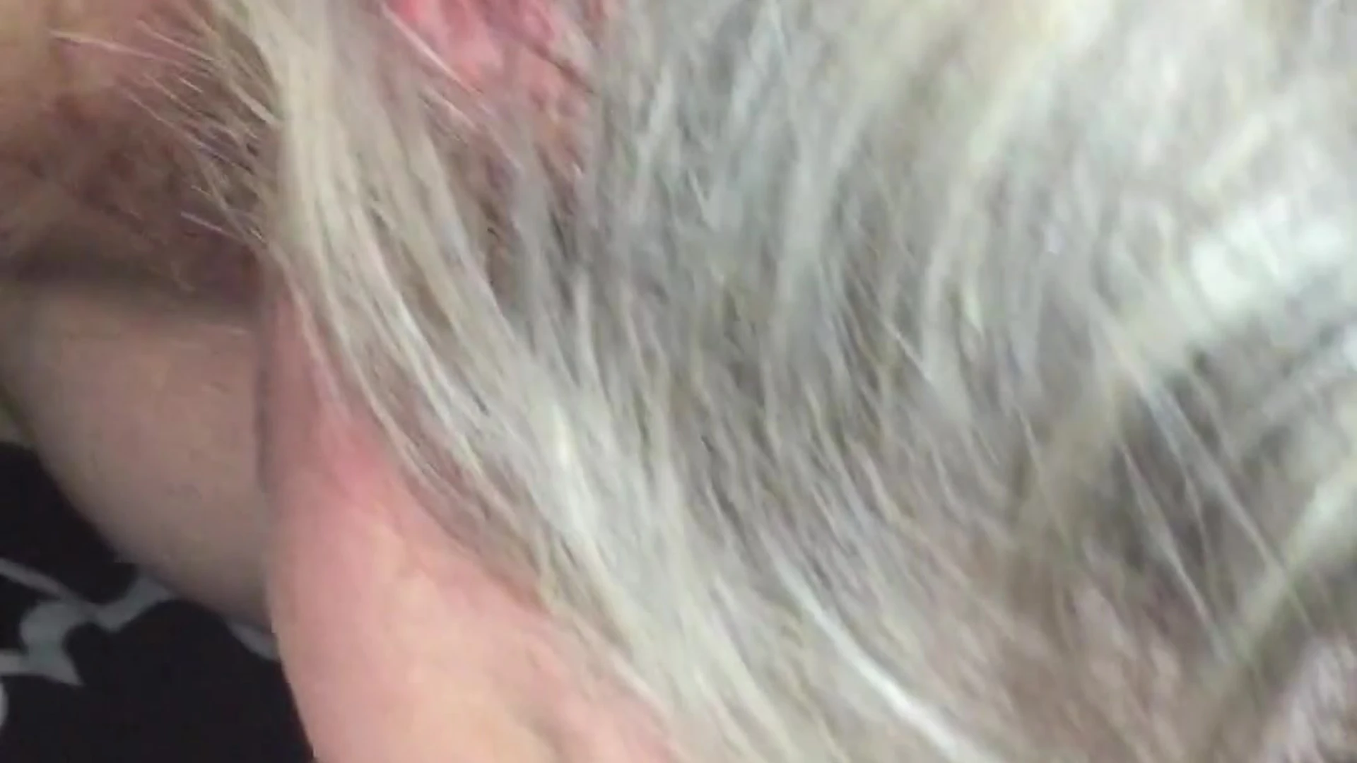 American Kit Mercer porn Full Video Leaked