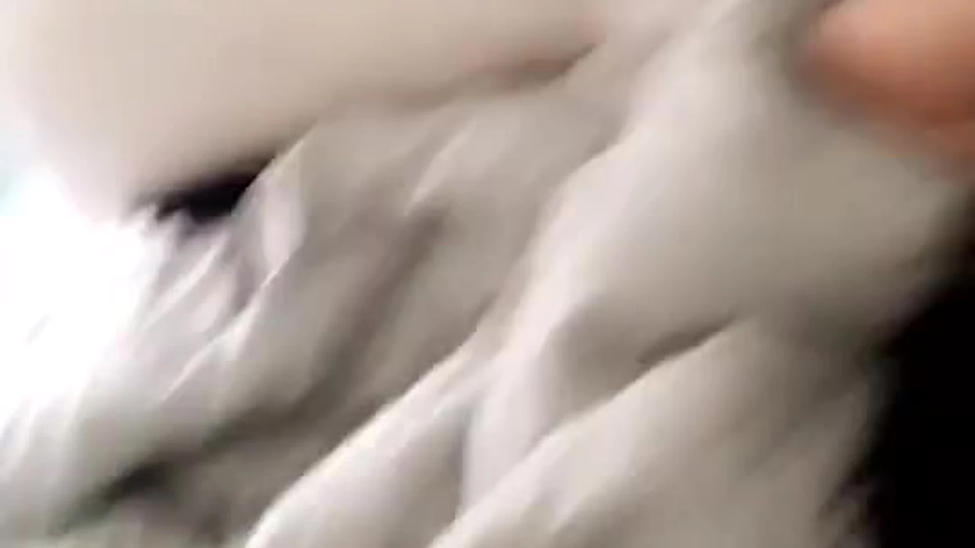 Big Tits Sophie Dee nudes free Epic