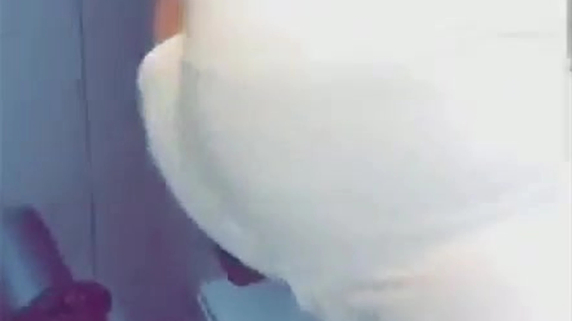 attractive Dripping small tits Kayla Erin nude porn leak