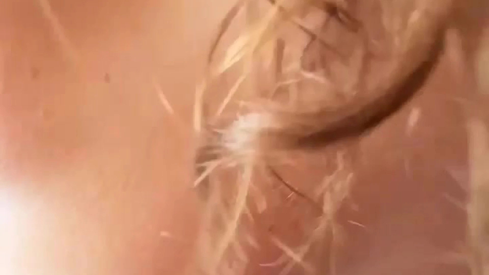 Dazzling  Latina LupuWellness nude porn leak EXPOSED