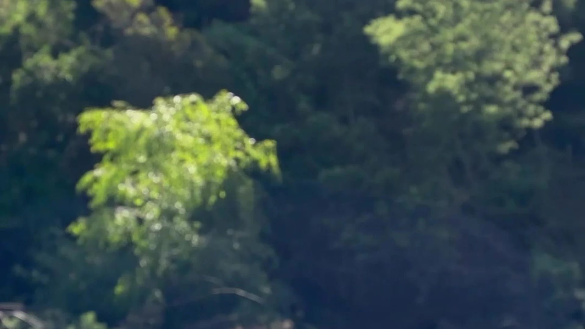 Big Booty Luz Cervo Fansly leaked EPIC