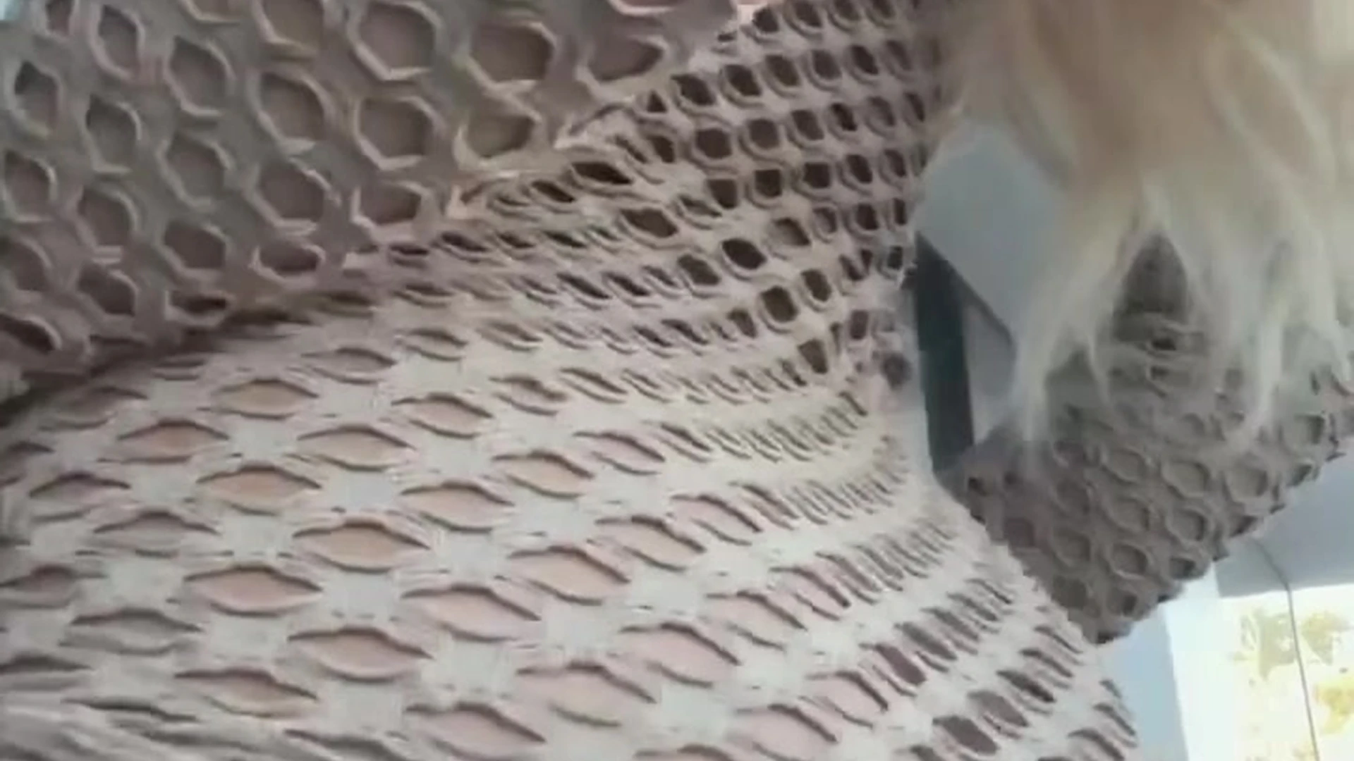 Epic small ass Lauren Dascalo only fans