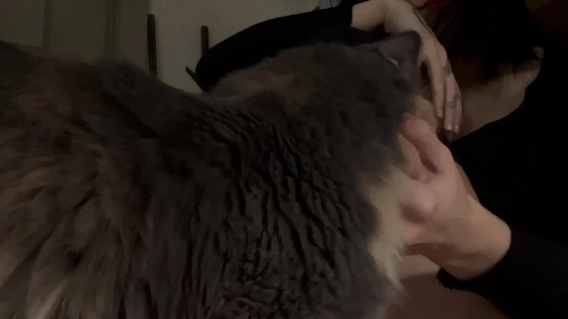 Small Tits essaere pics porn