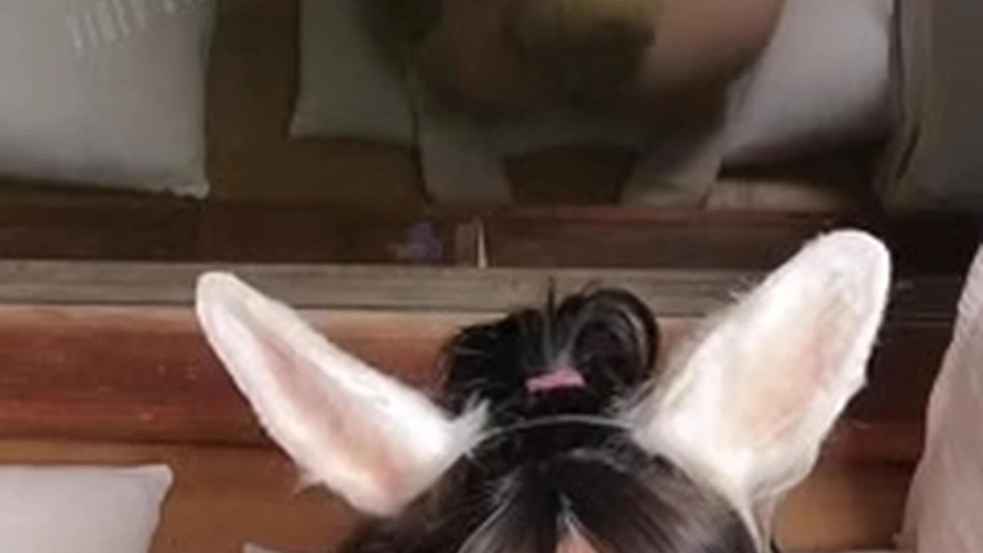 Motivated Fake boobs amanda welp nude