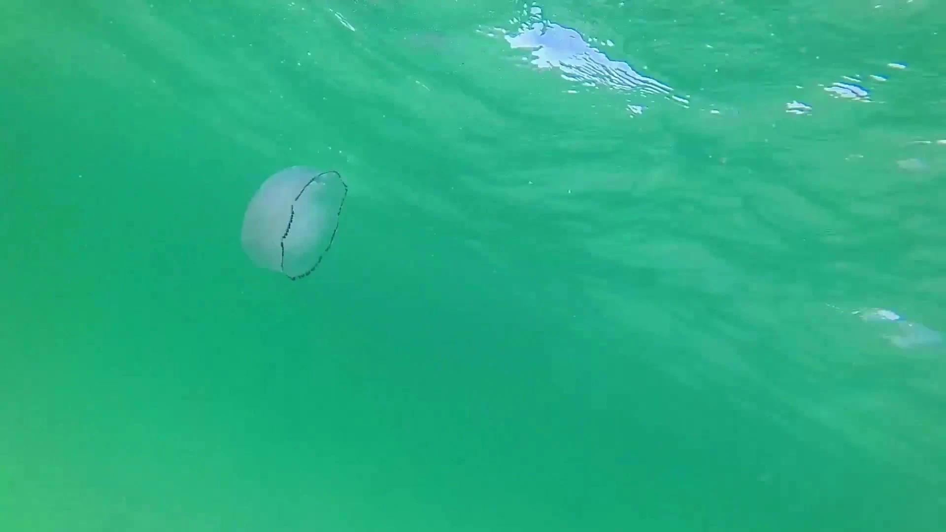 Tenacious Natural Tits Kathia Nobili onlyfans nudes