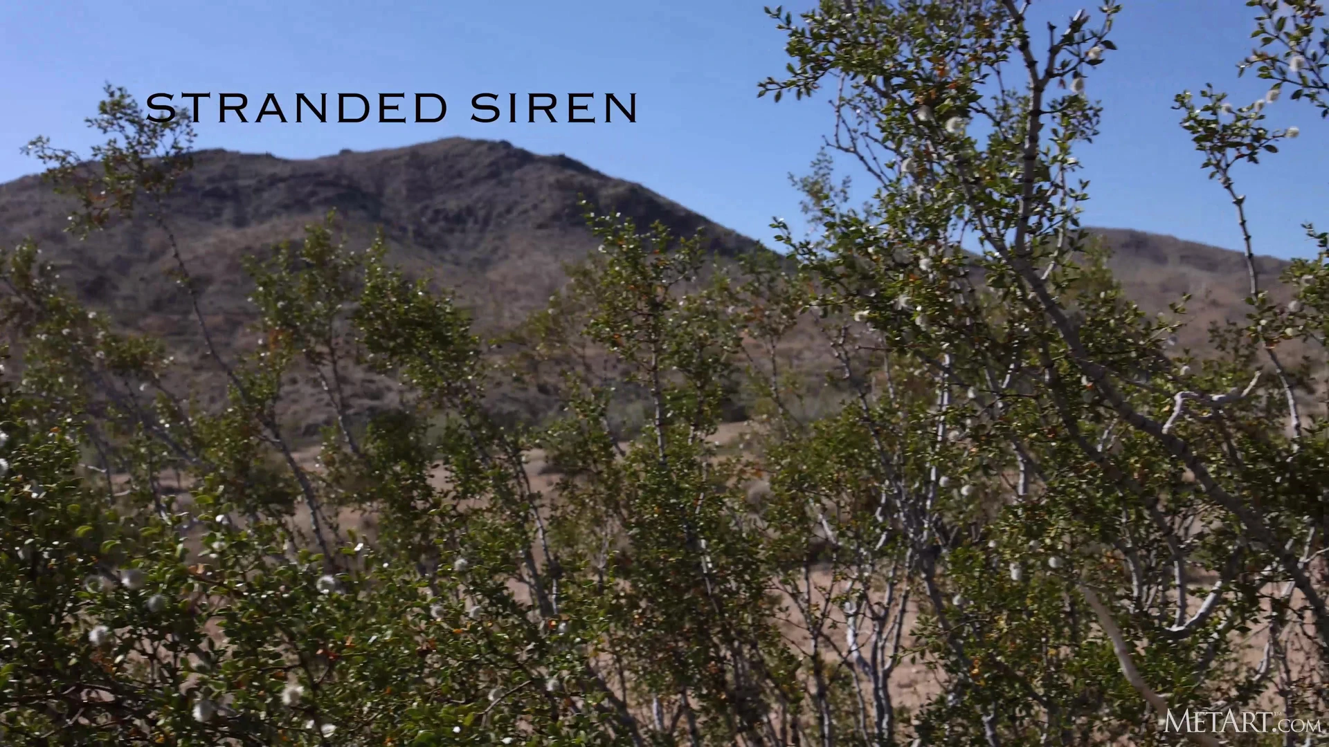 Authentic Asian Putri Cinta collab