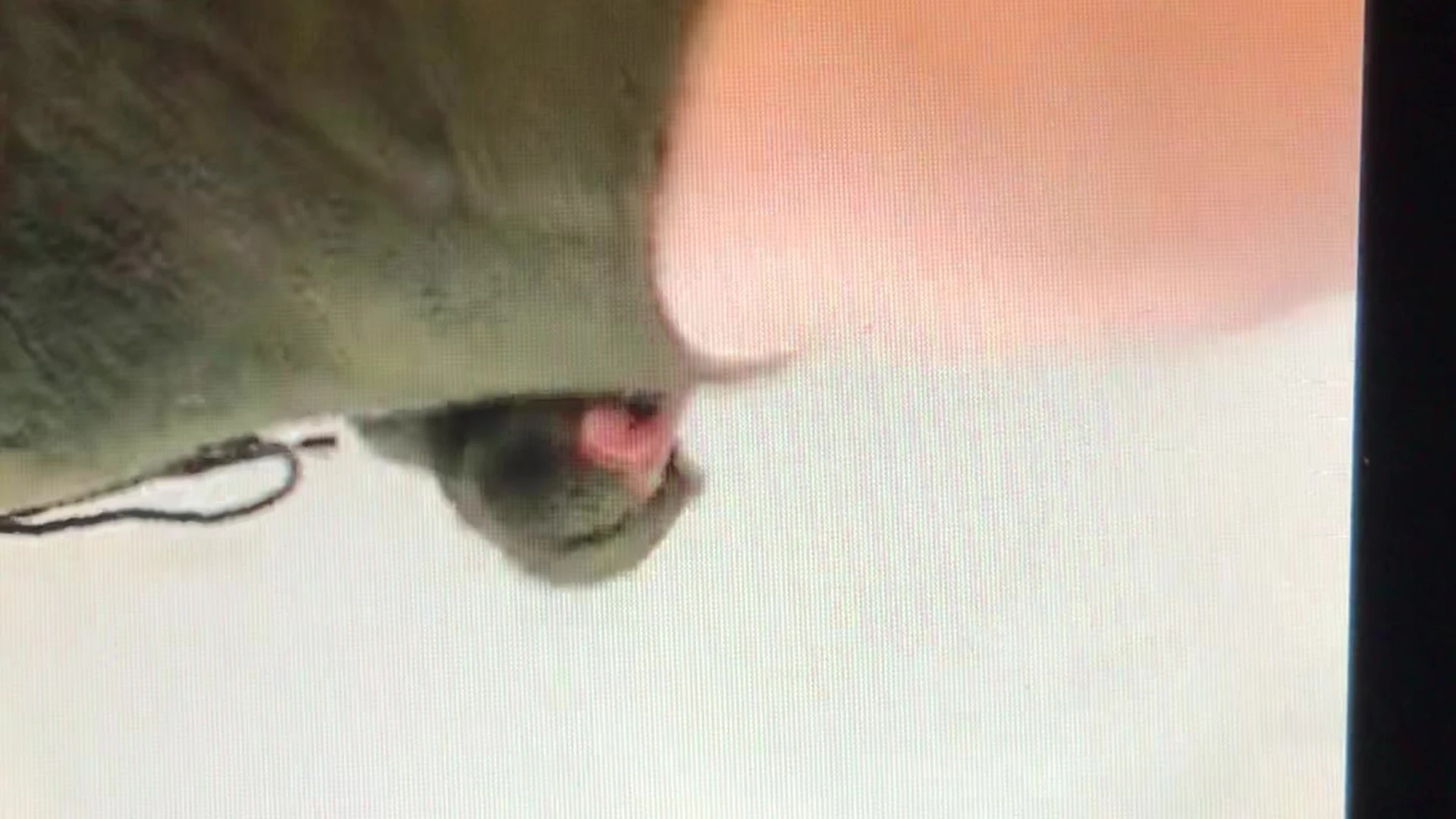 Shrewd sexy Kayla Erin leaks pic Sensational