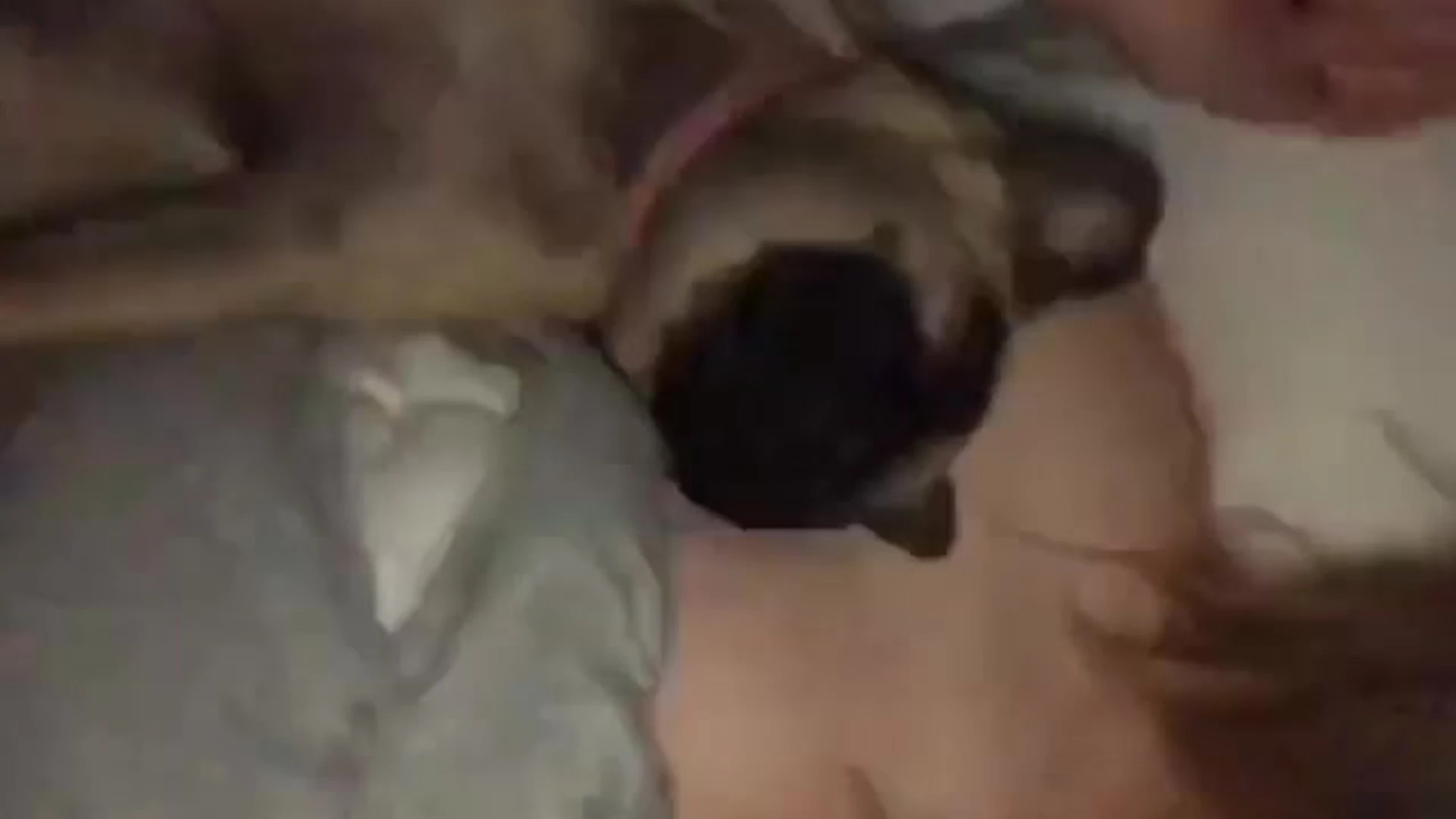 cutie small ass Kayla Erin nude ass Full Movie