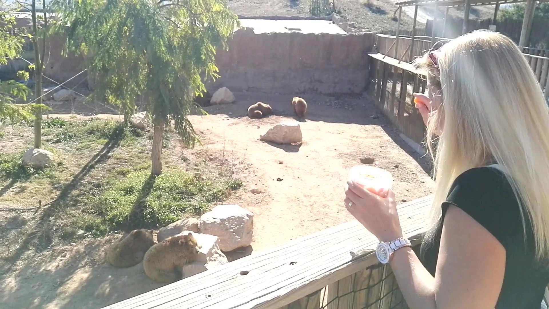 Self-assured MILF Kathia Nobili tits