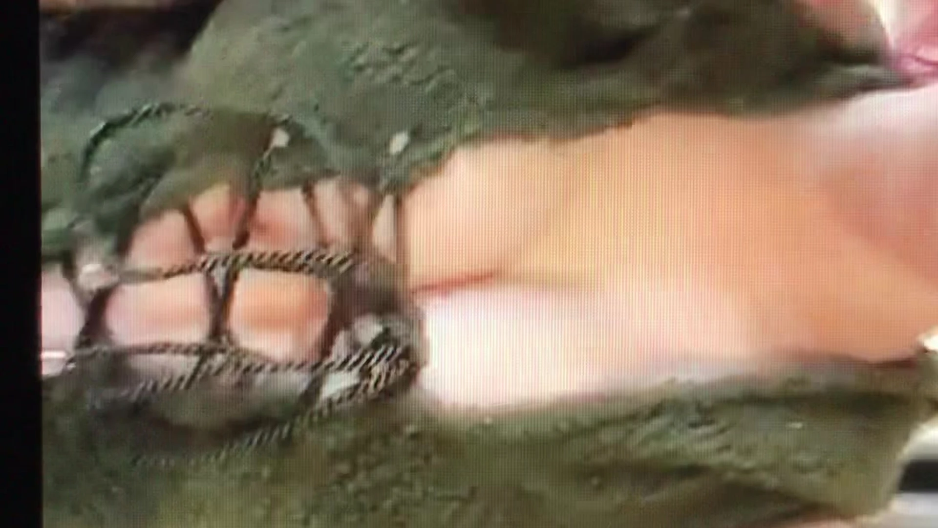 petite Kayla Erin nude porn leak