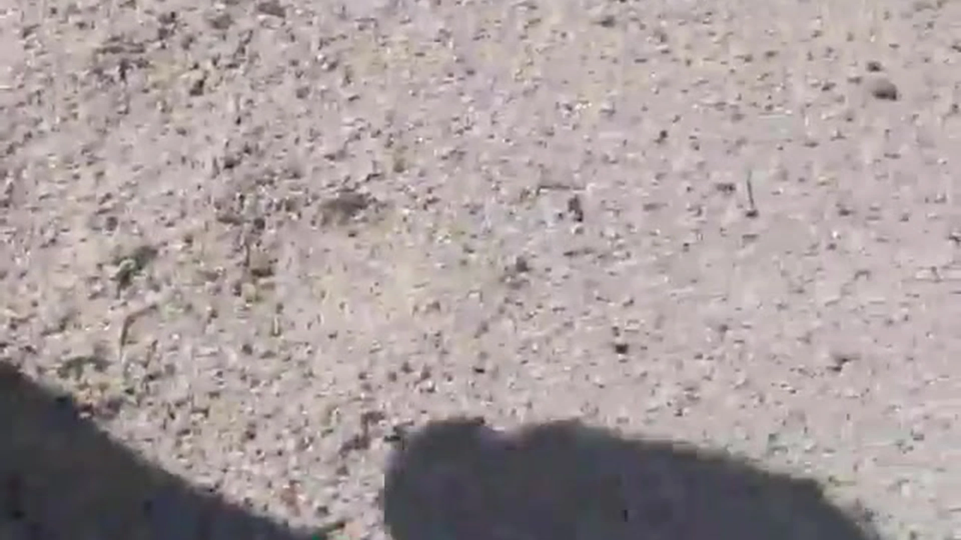 pretty sexy Kayla Erin Leaked OF Exclusive full video Sensational