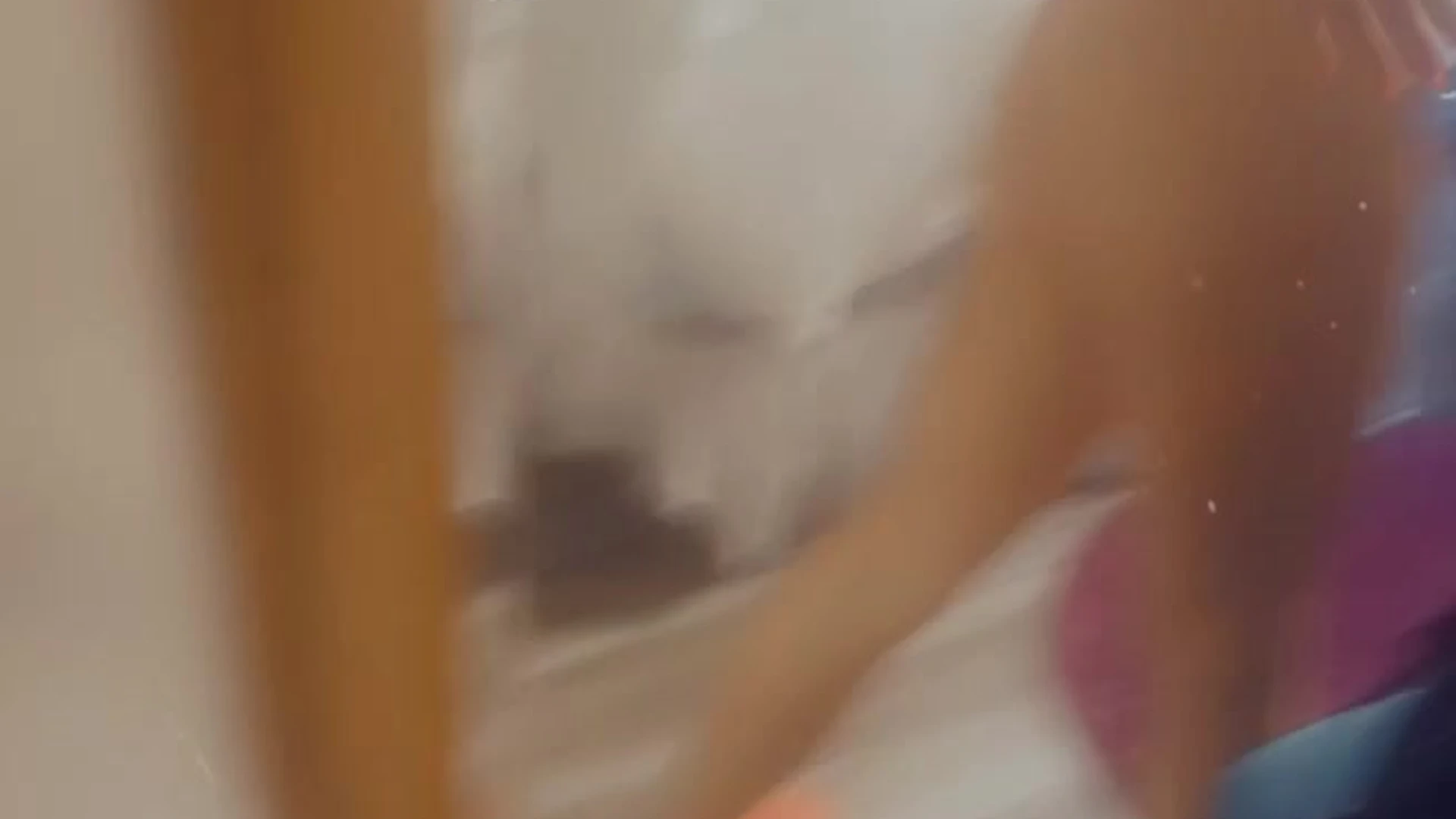 Exposed Caucasian Kit Mercer clips