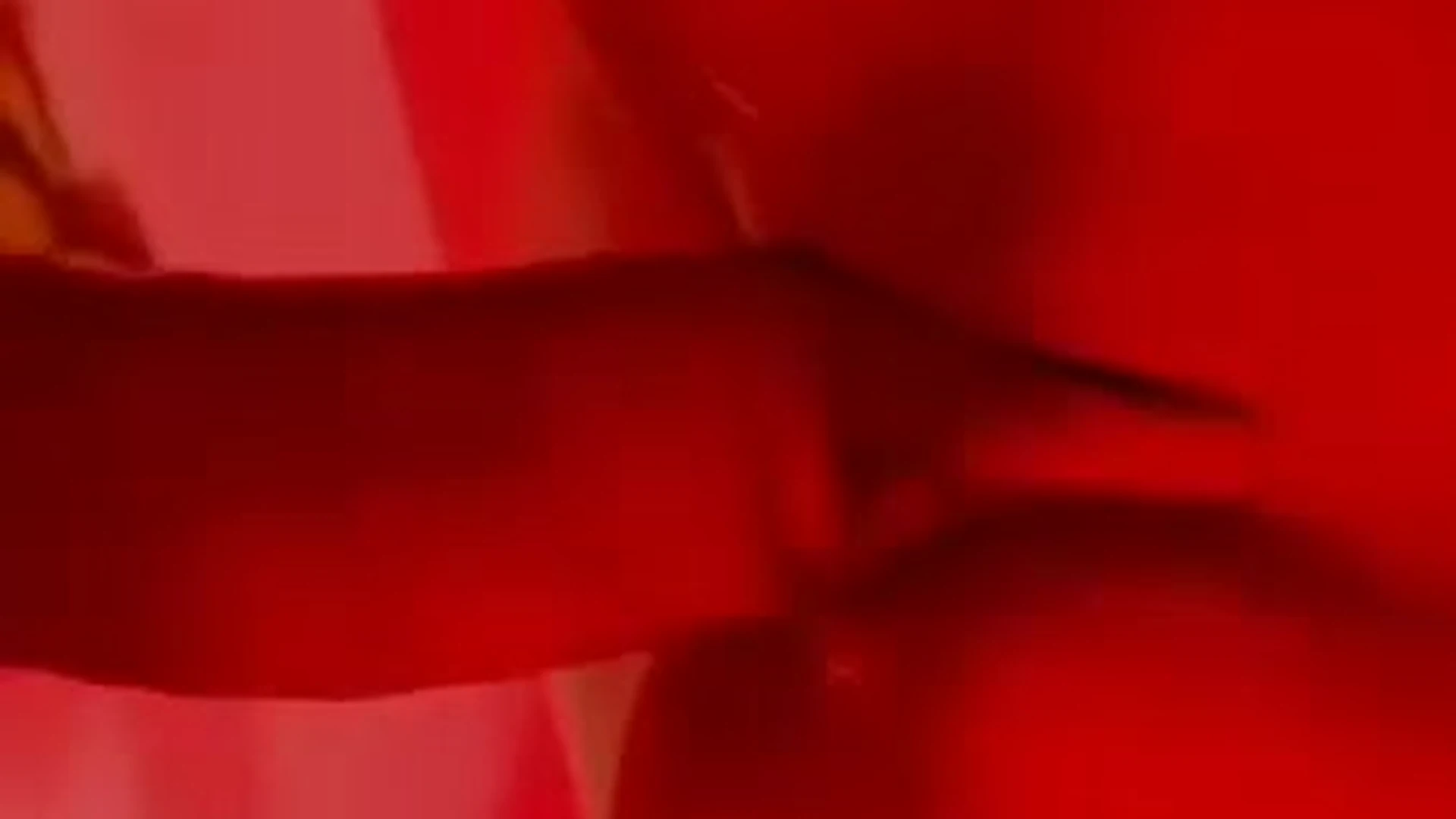 Venezuelan kimberly delgado tits pic fullvideo