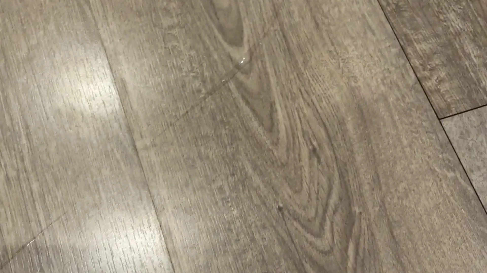 Inspiring  slim Littlesubgirl leaked sextape full vid