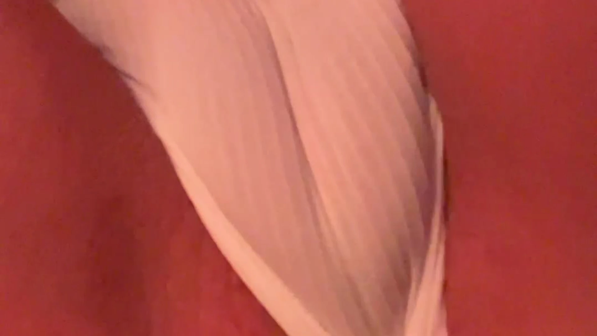 Sensational celeb wannabe Natural boobs Biatrois Leaked OF