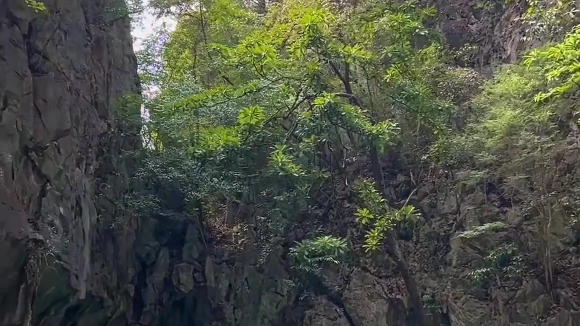 EPIC egirl Big Tits praewasian onlyfans leaked