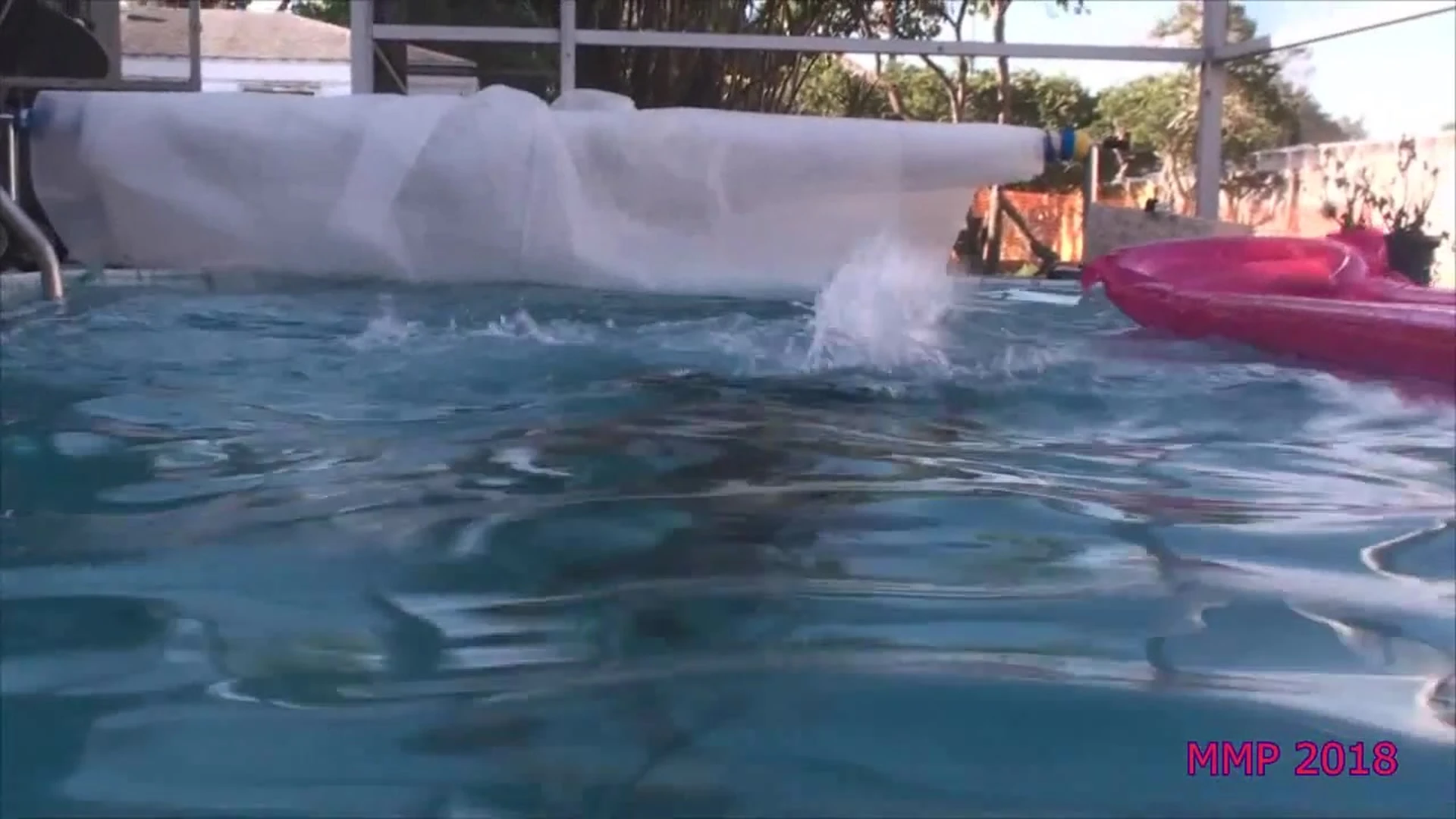 Epic Ambitious  Big Tits Dare Taylor Nude exposed