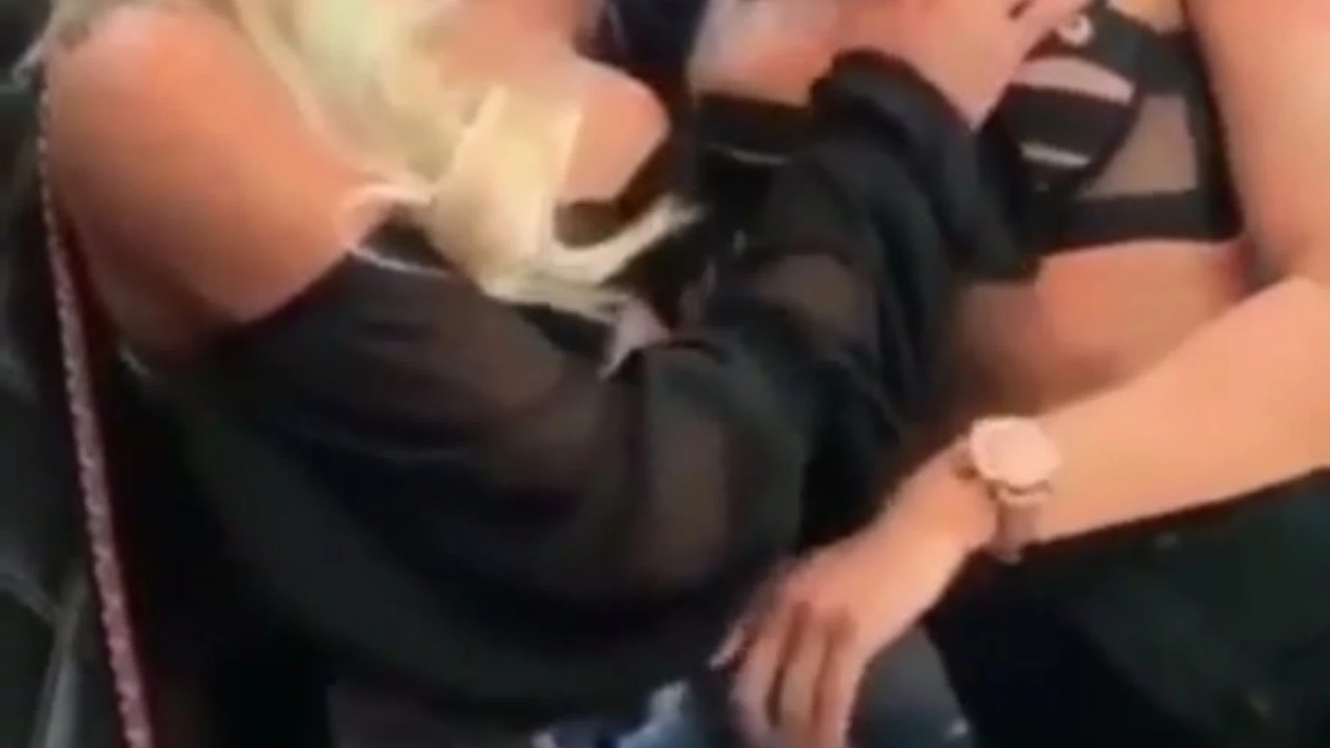 Exposed cum dumpster white Lauren Dascalo leaked pic