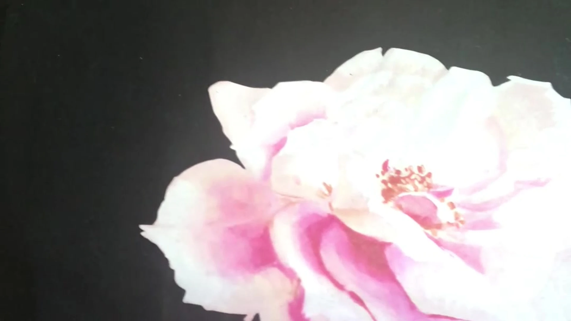 Sensational artistic middle eastern Alina Angel sexy