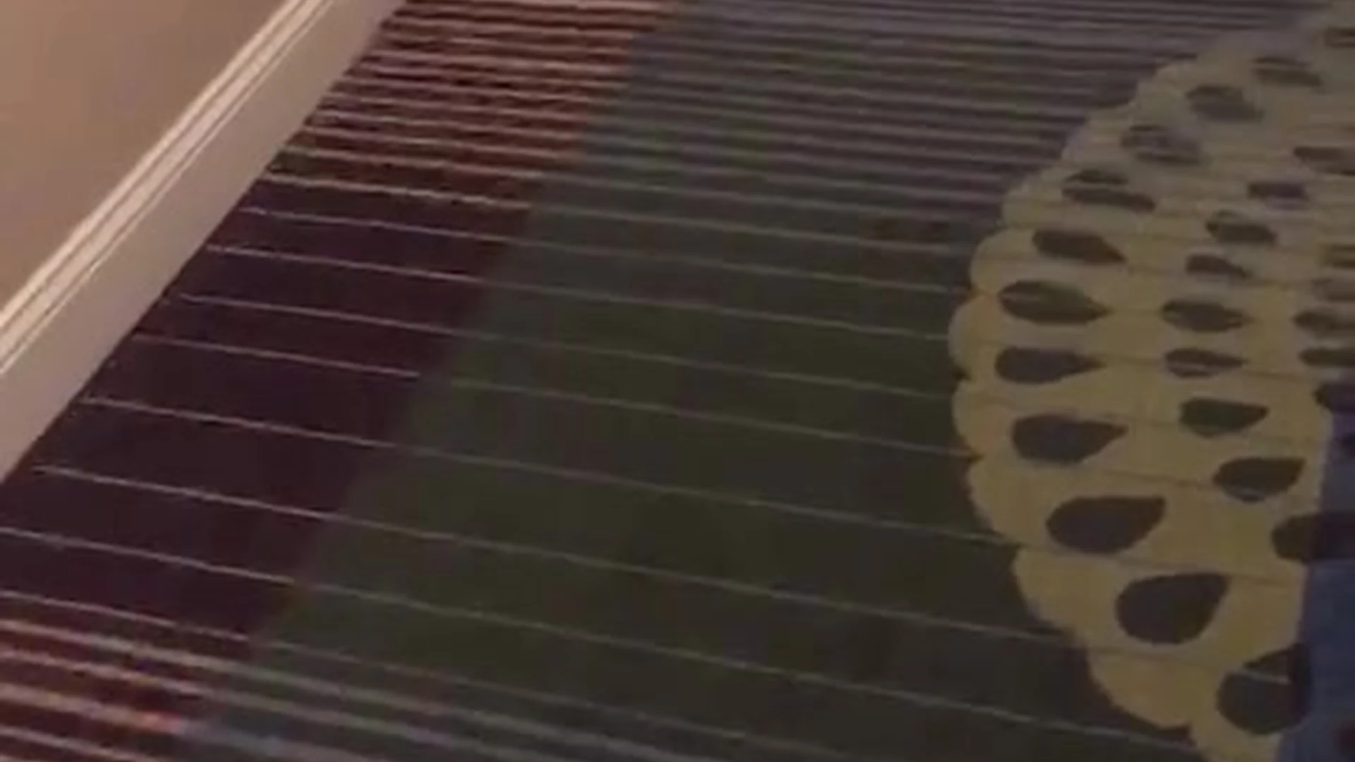 cutie pie Big Tits Sophie Dee of leaks Sensational