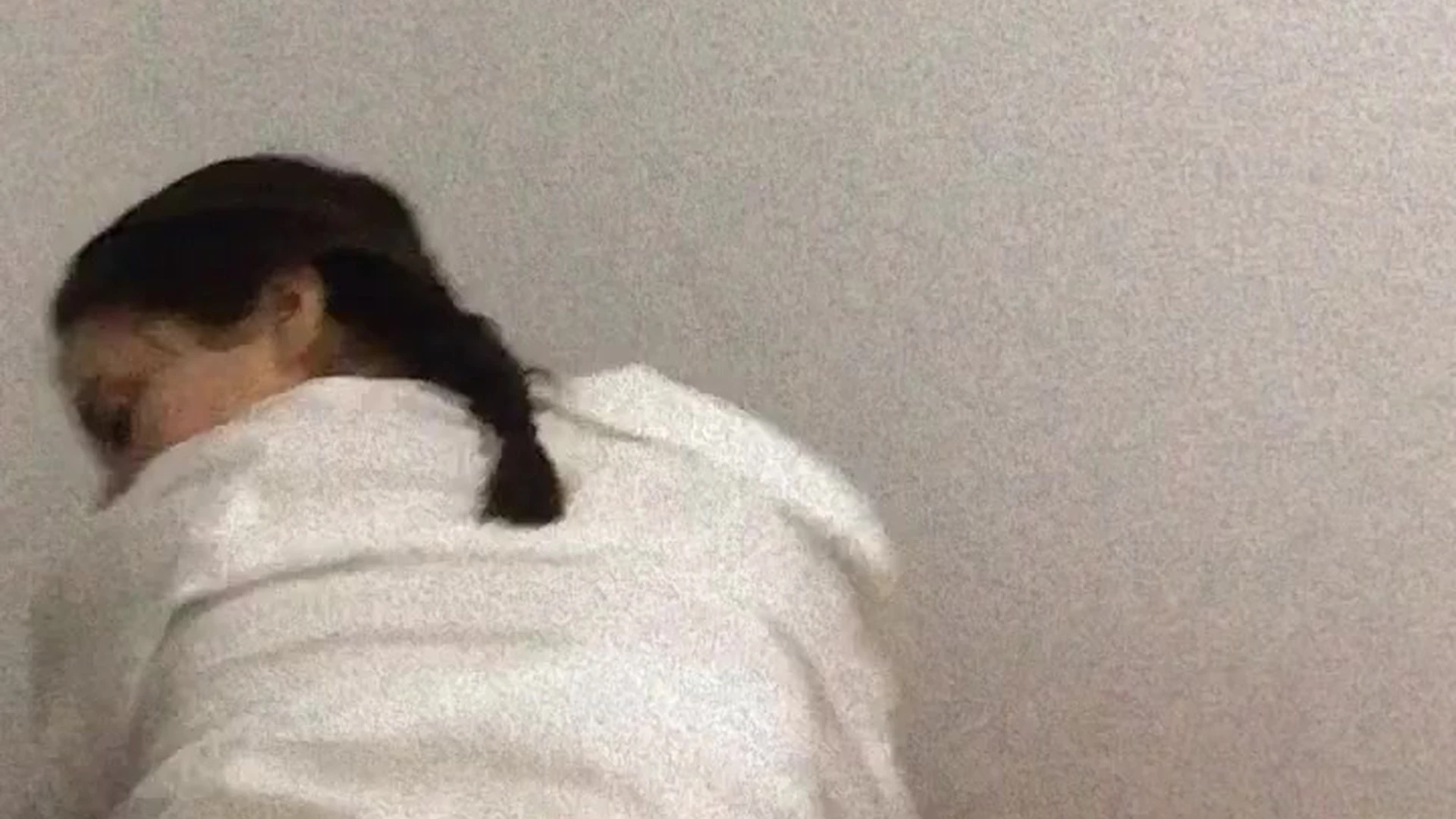 Latina KingCarle bj exclusive