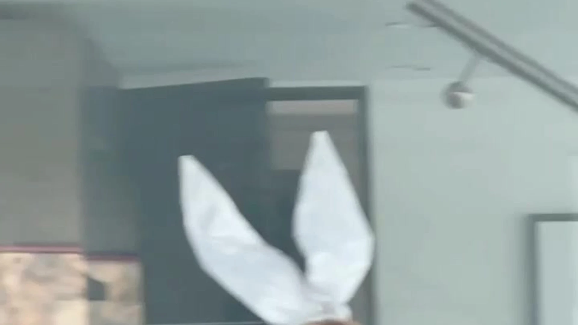 small tits lolosgonewild sexy Exposed