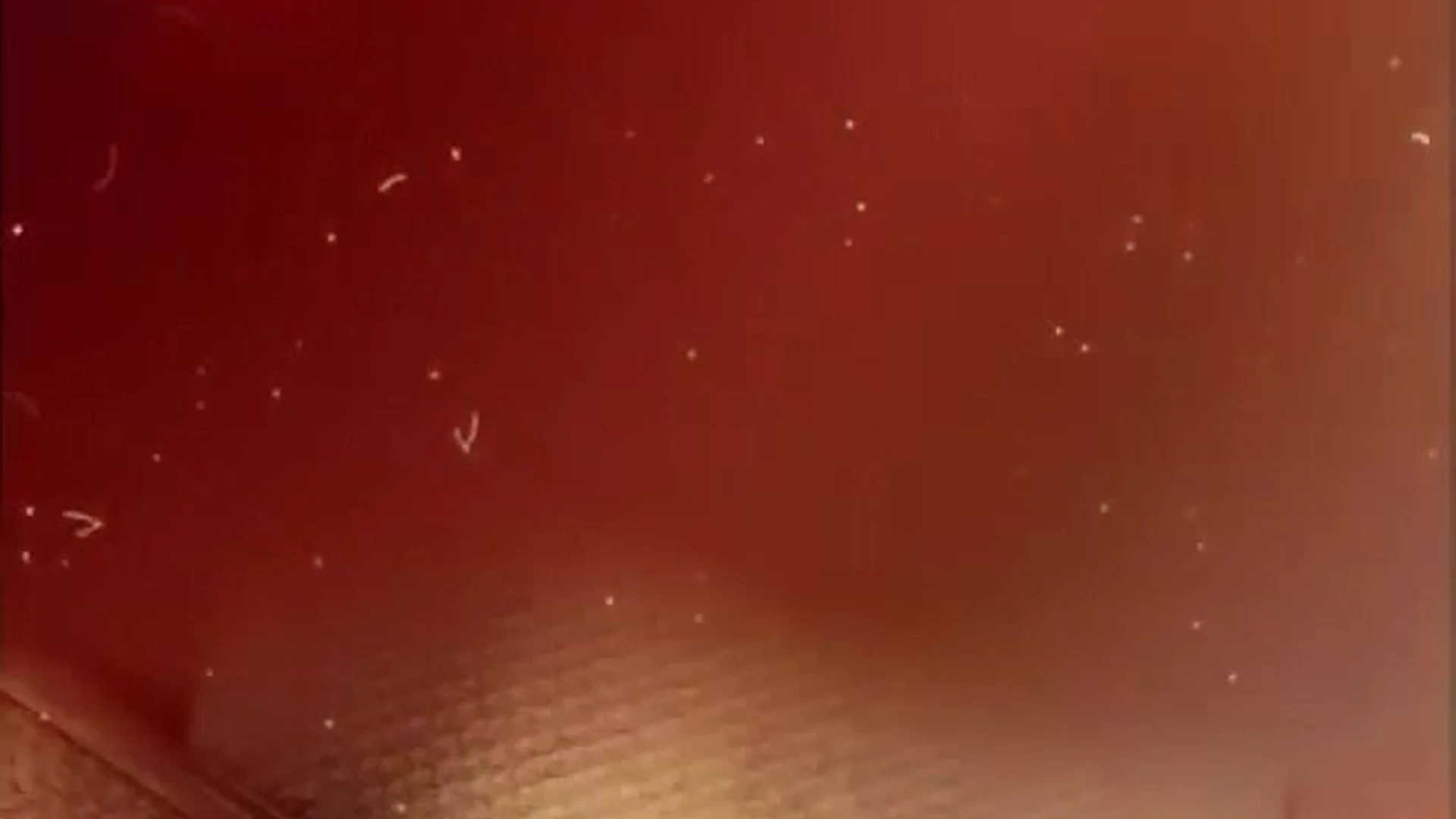 MILF Kit Mercer leaks OF Exclusive video full