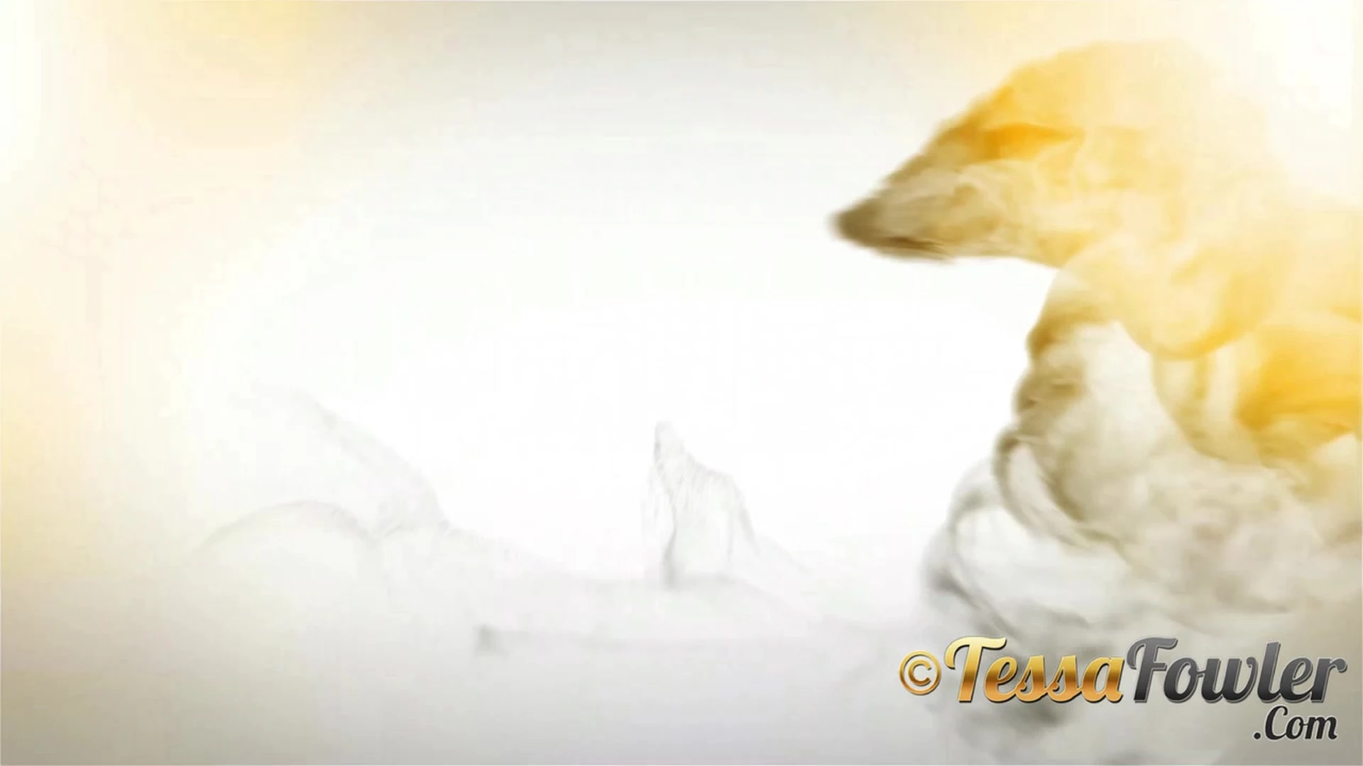 Exposed pornstar big tits Tessa Fowler twitter Vid