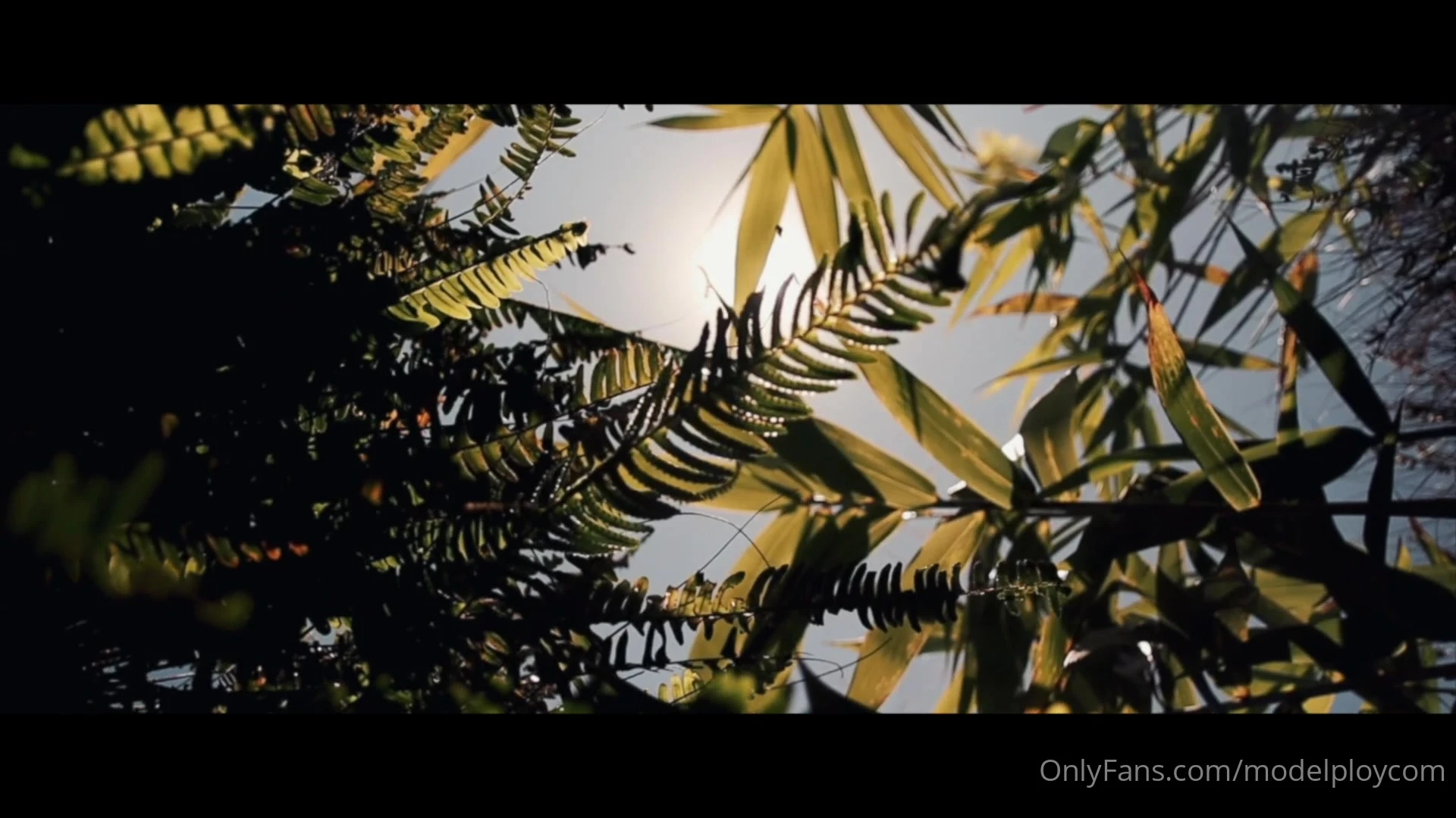 Thai ploytigerstam Nude leak