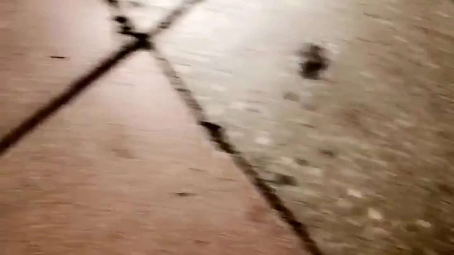 Amicable Babe Mia Malkova sexy onlyfans leak