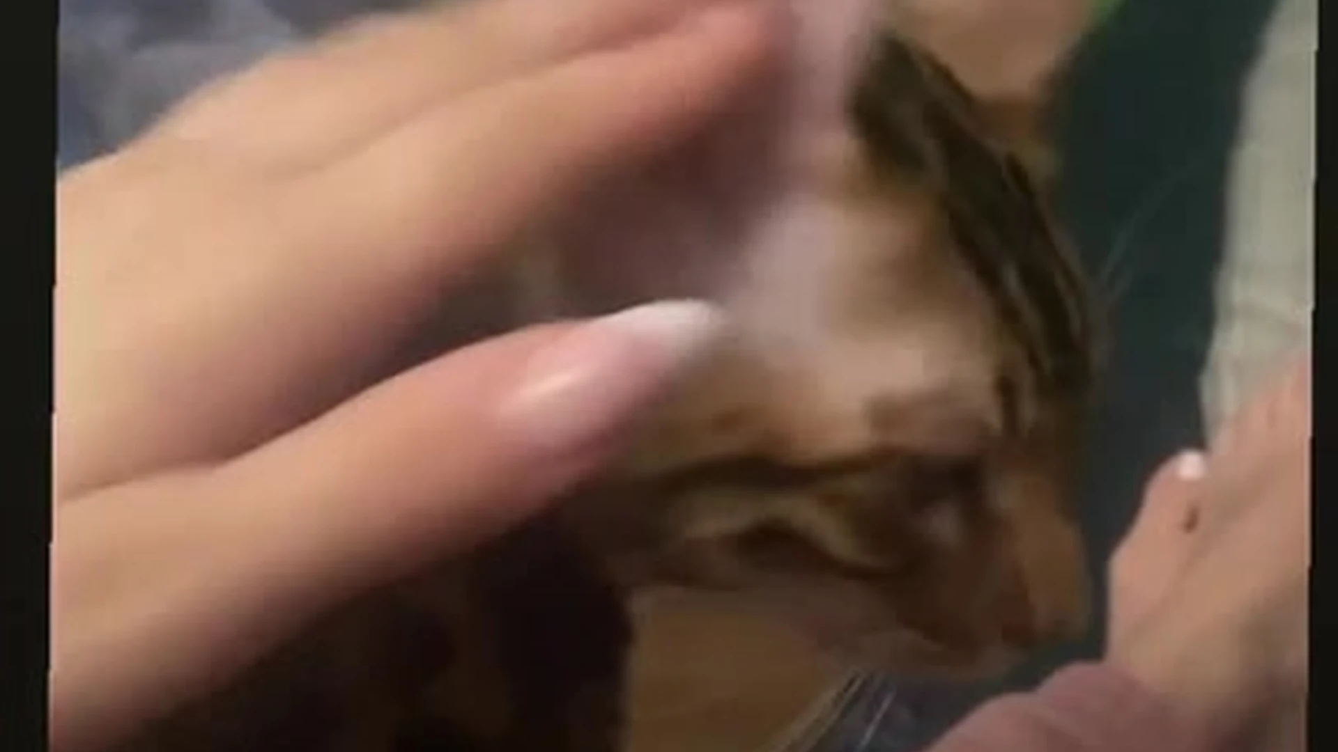 gorgeous Big Tits Neringa Kriziute onlyfams