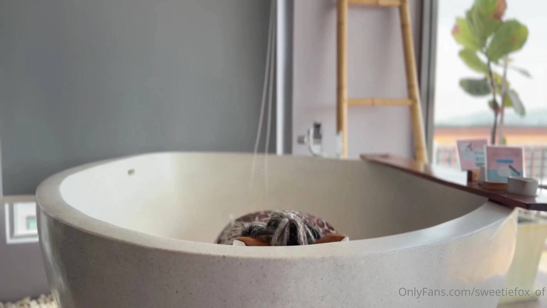 Cosplayer Sweetie Fox leaks pic EXCLUSIVE VIDEO