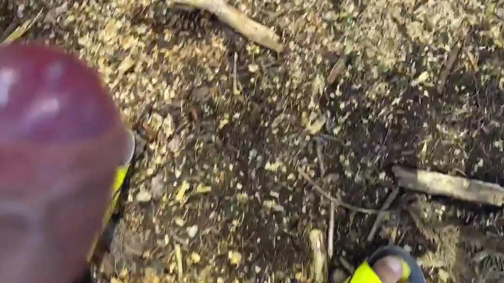 Skilled American Marisol Yotta Nude Patreon