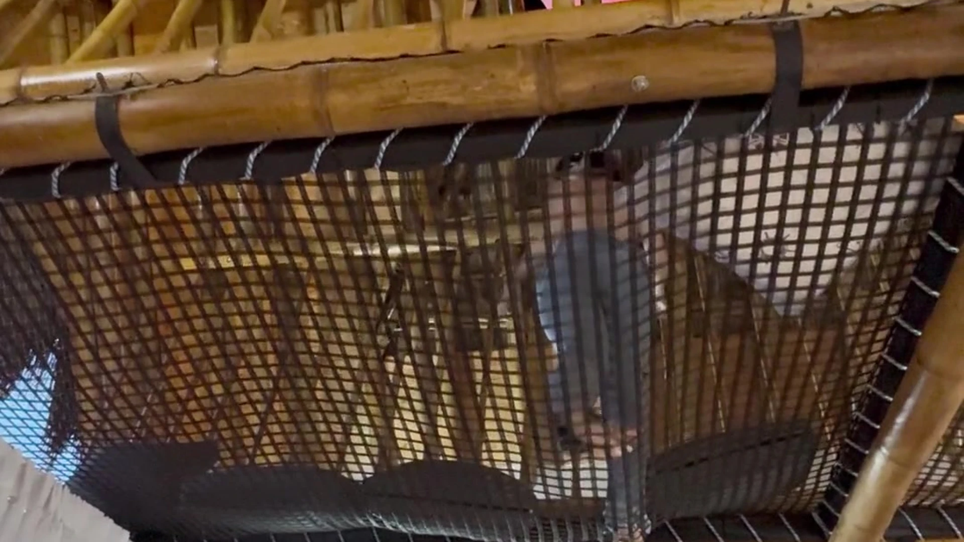 Exposed hoe Big Tits Mady Gio nude videos fullvideo