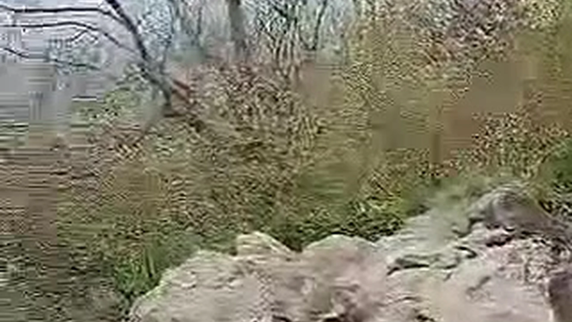 Epic Fat PolaRainbow leaked nudex