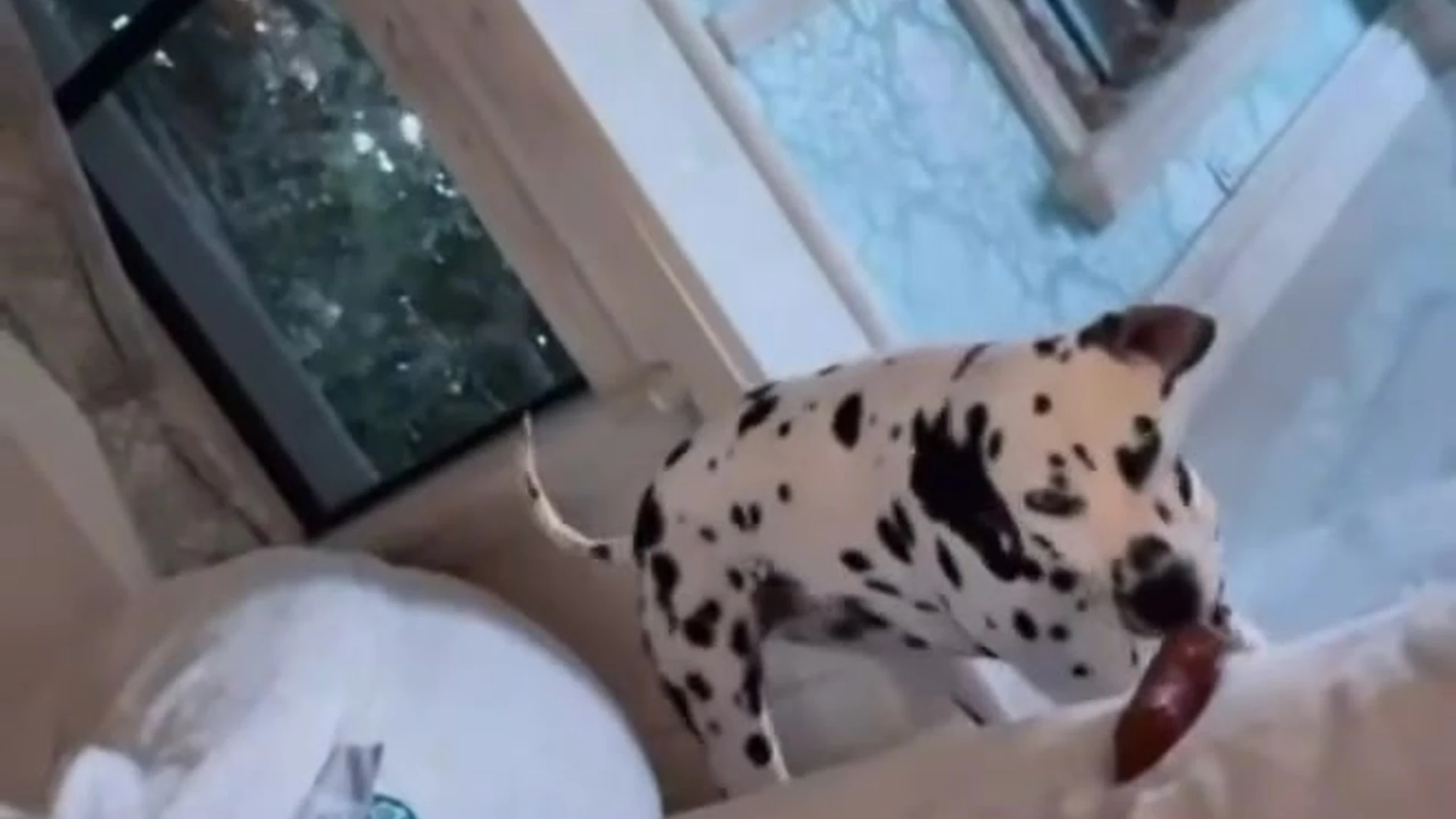 Petite Amanda Cerny onlyfans FullVID