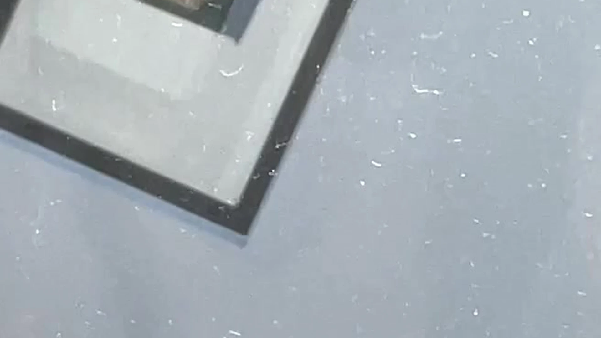 Devoted Slut Miss_dxxx fapello Exclusive full vid