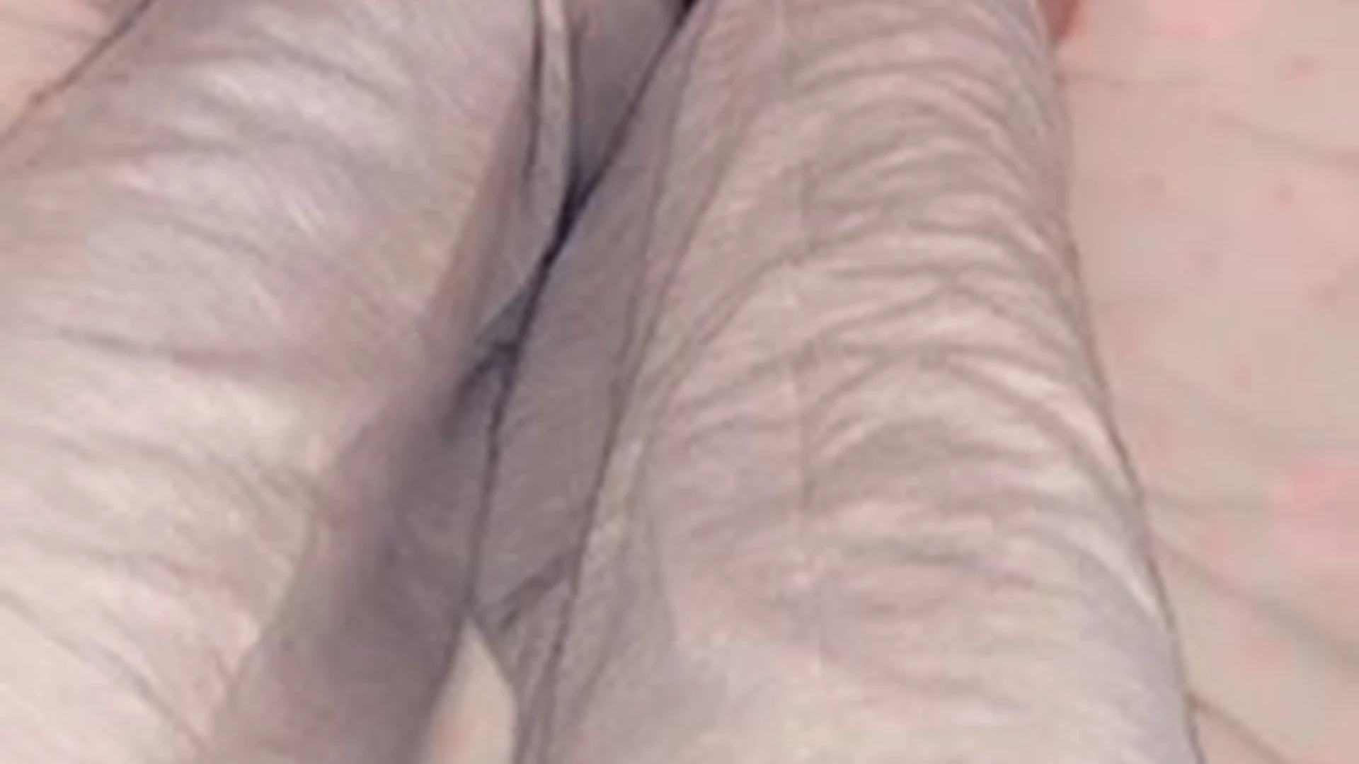 Sensational Disciplined Slim Janeestar tits pic