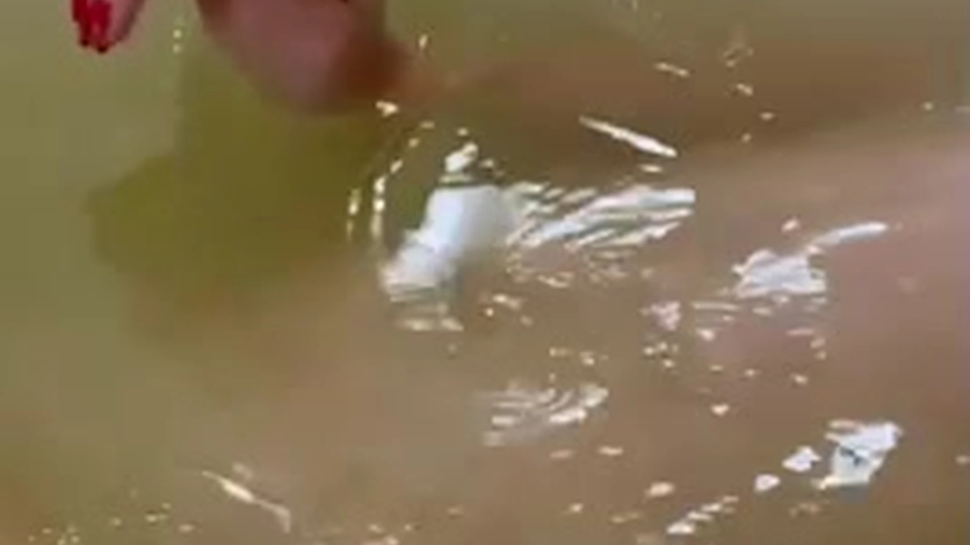 Babe Amanda Cerny free onlyfans