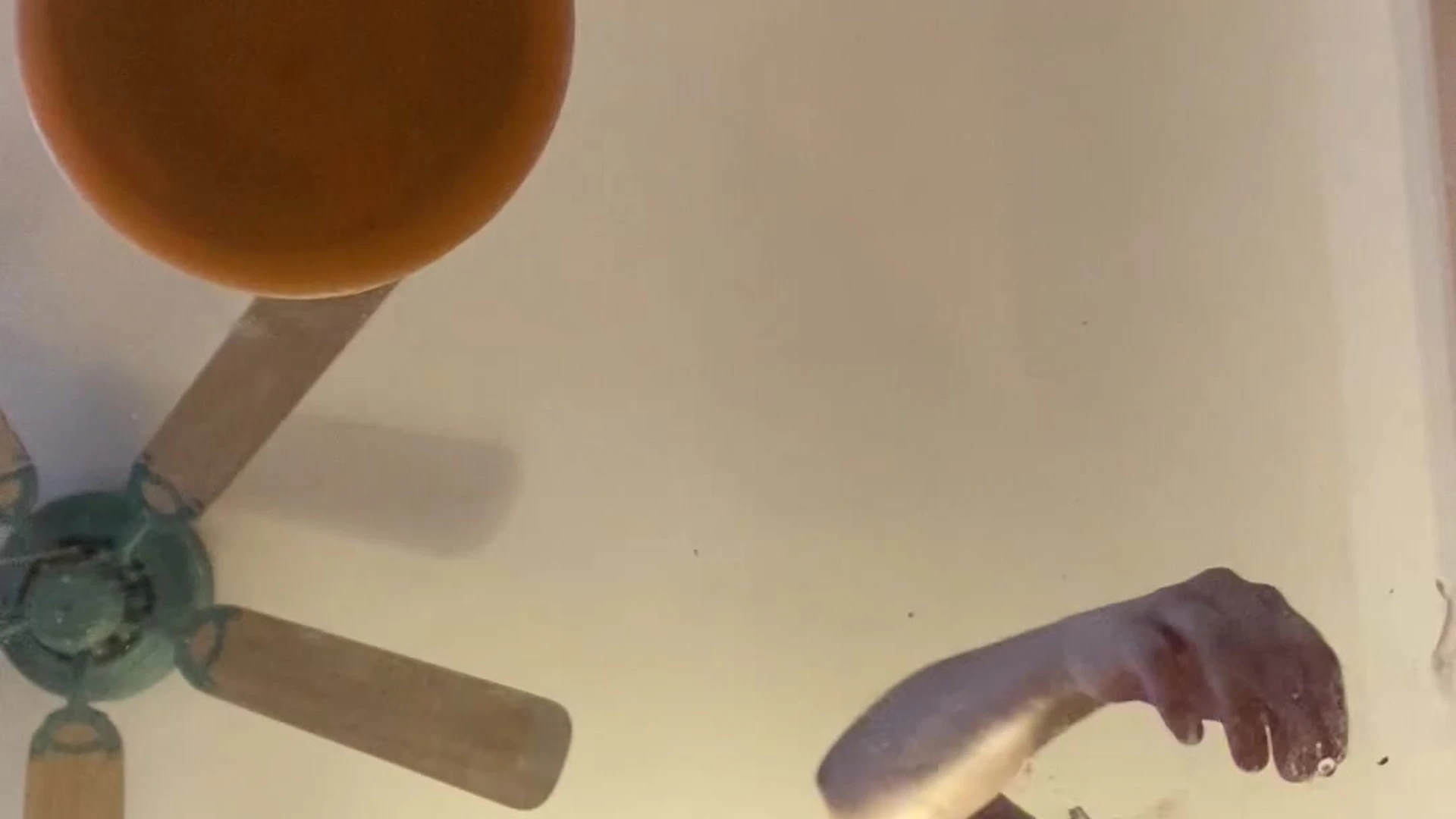 Big Ass QuinnFinite sex leak Exclusive vid full