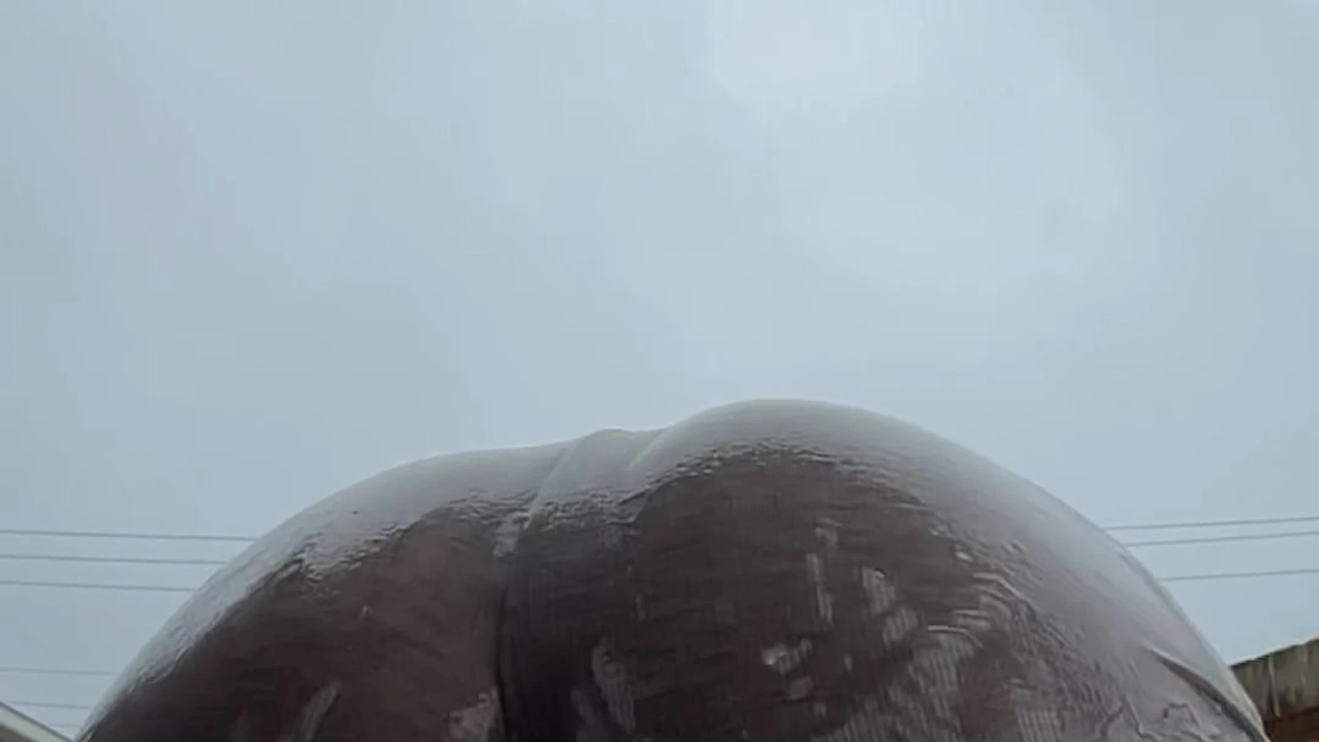 pretty sucking Big Natural Tits Bree Louise clips