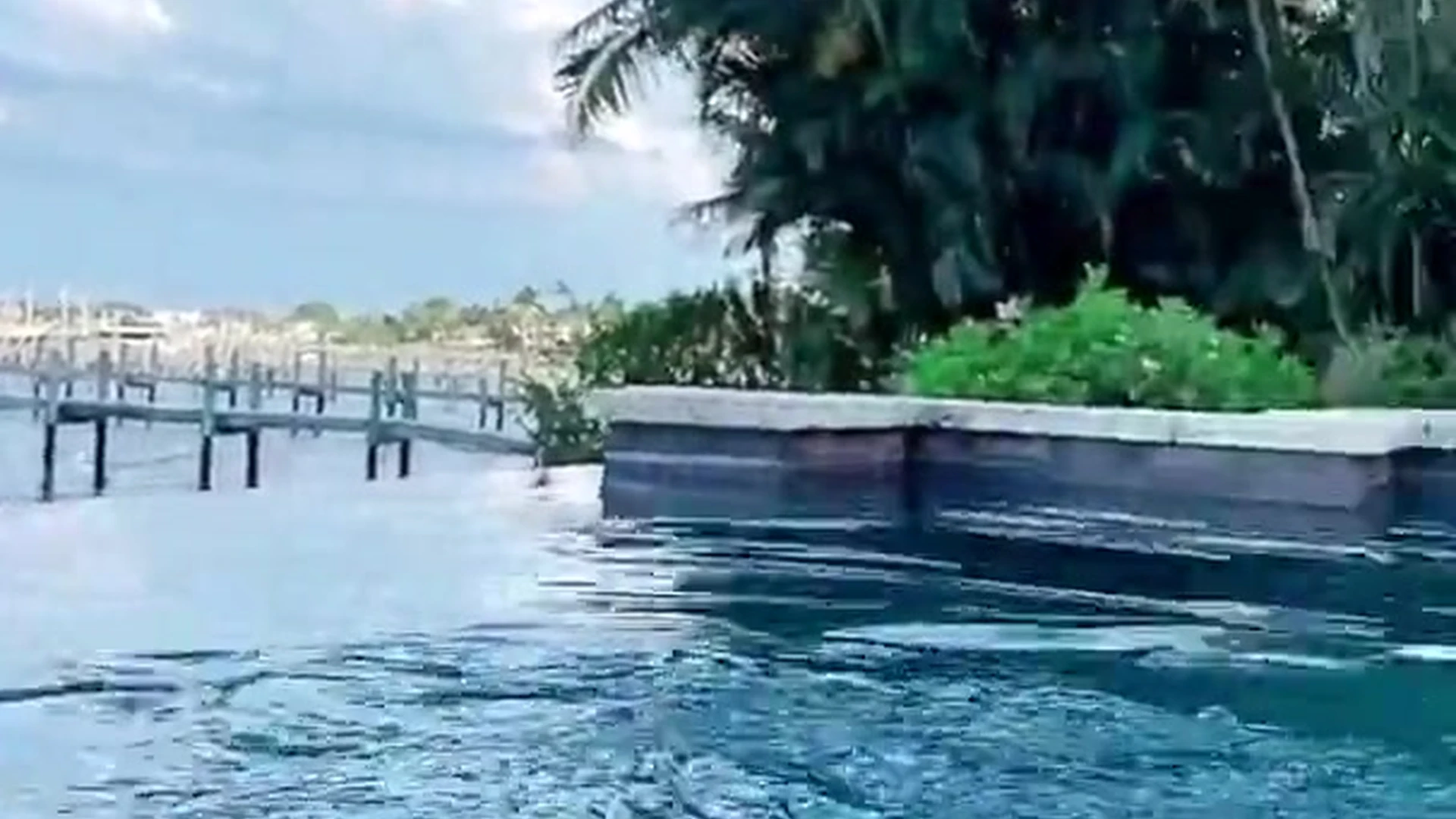 Babe Amanda Cerny dildo Clip