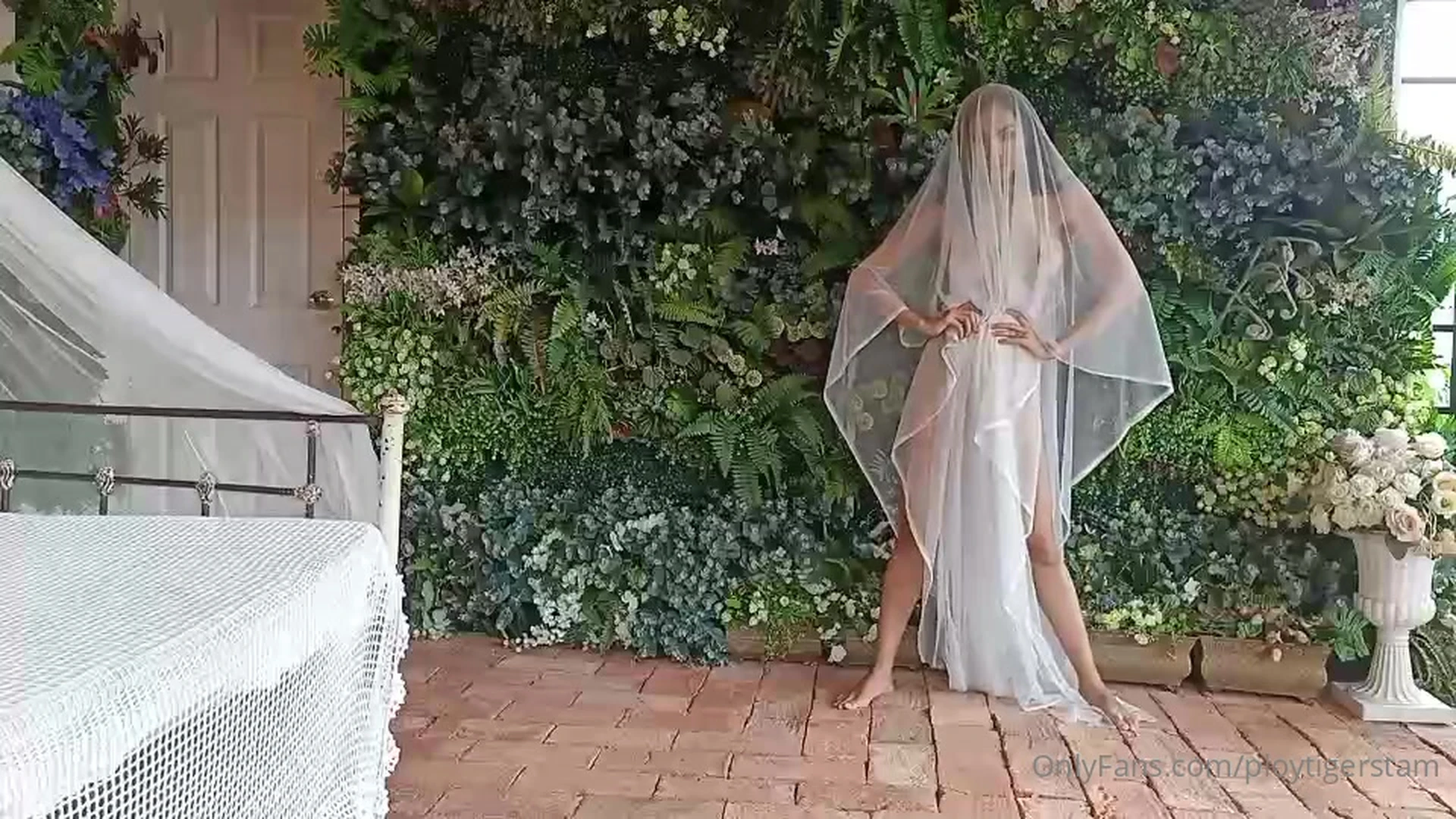 Petite ploytigerstam collab Exposed