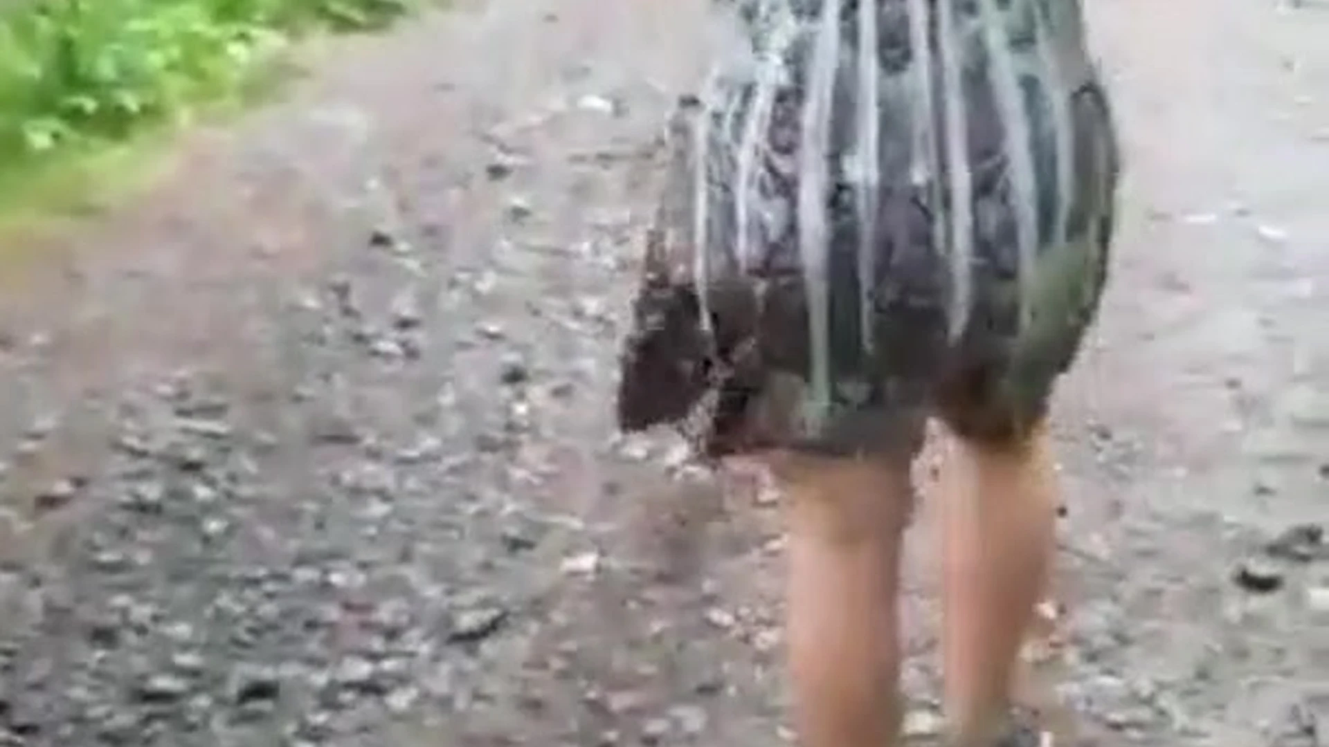 Exposed MILF PolaRainbow leaks