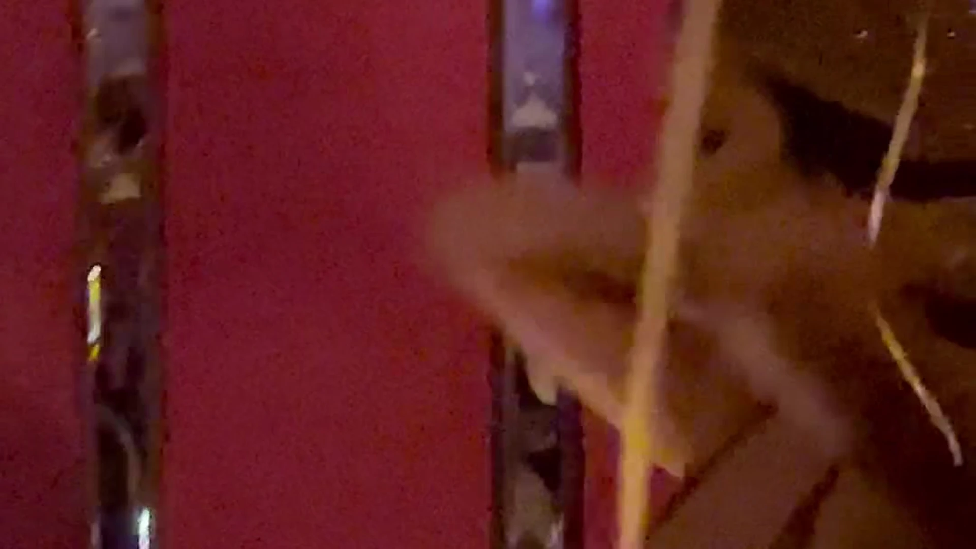 Capable Dripping Latina Malu Trevejo Fansly