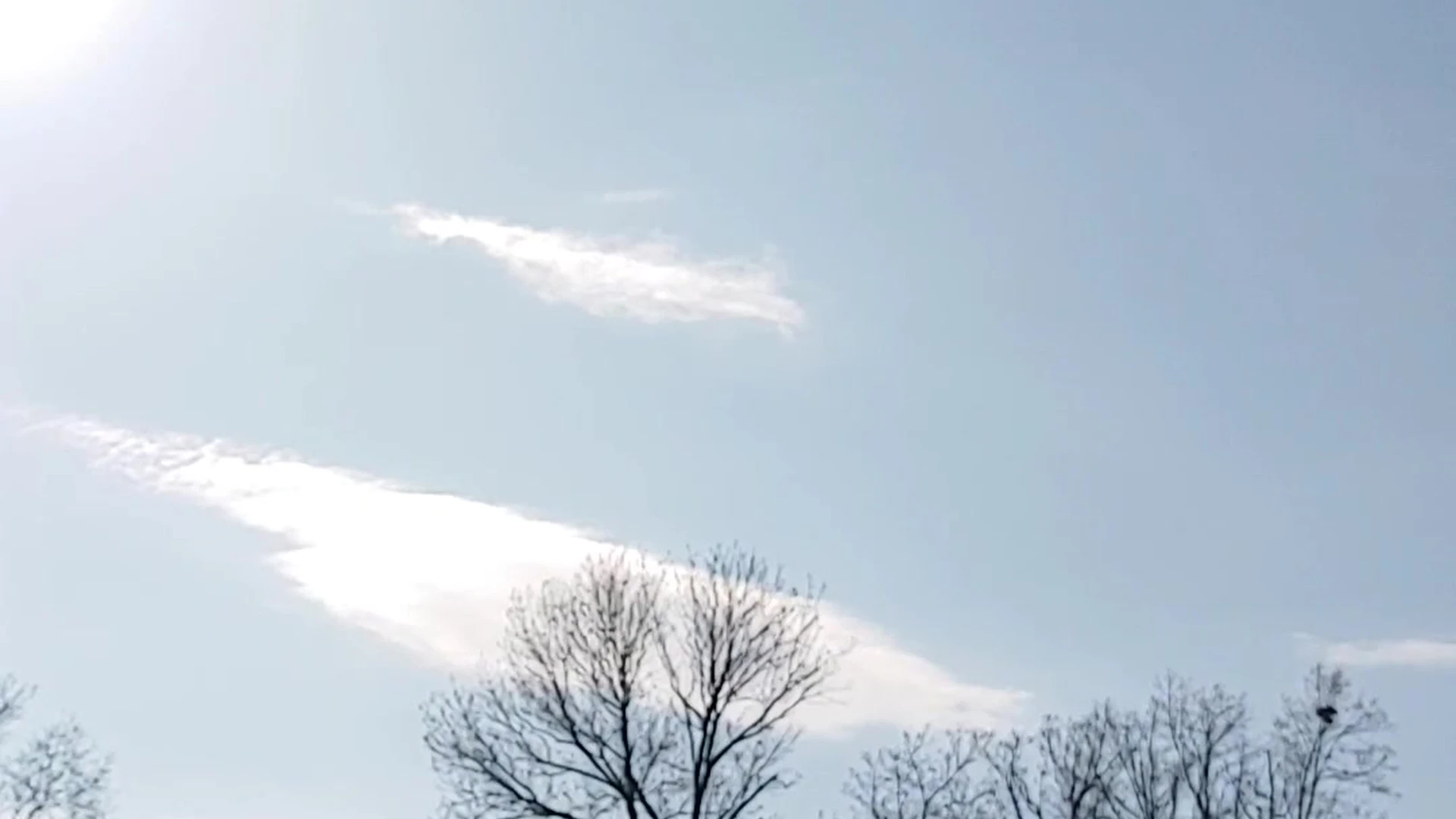 Exposed hotie Natural Boobs MandyFrizzle Fansly leak video full