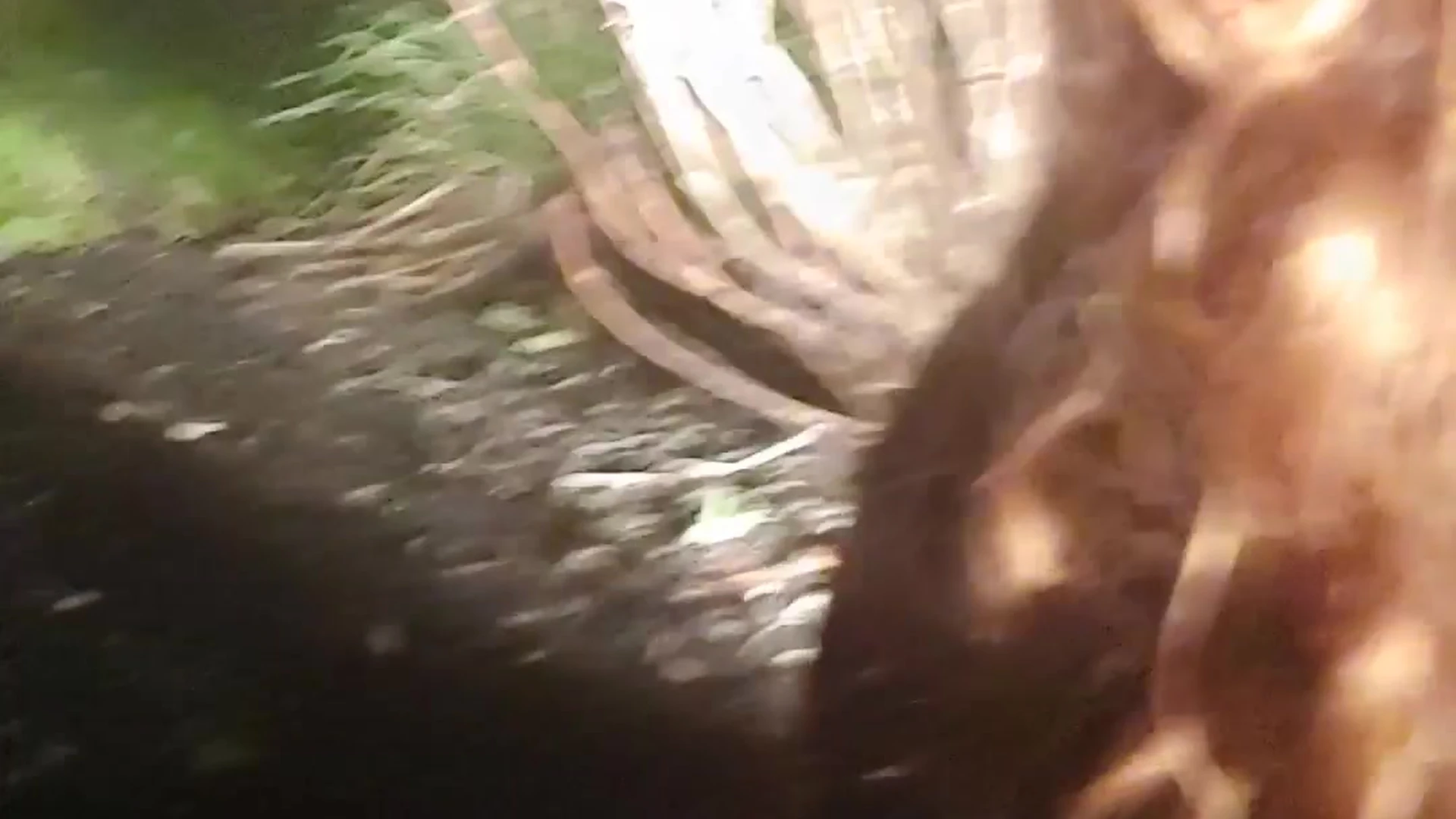 Effervescent  Sweating slut MandyFrizzle sexy pic