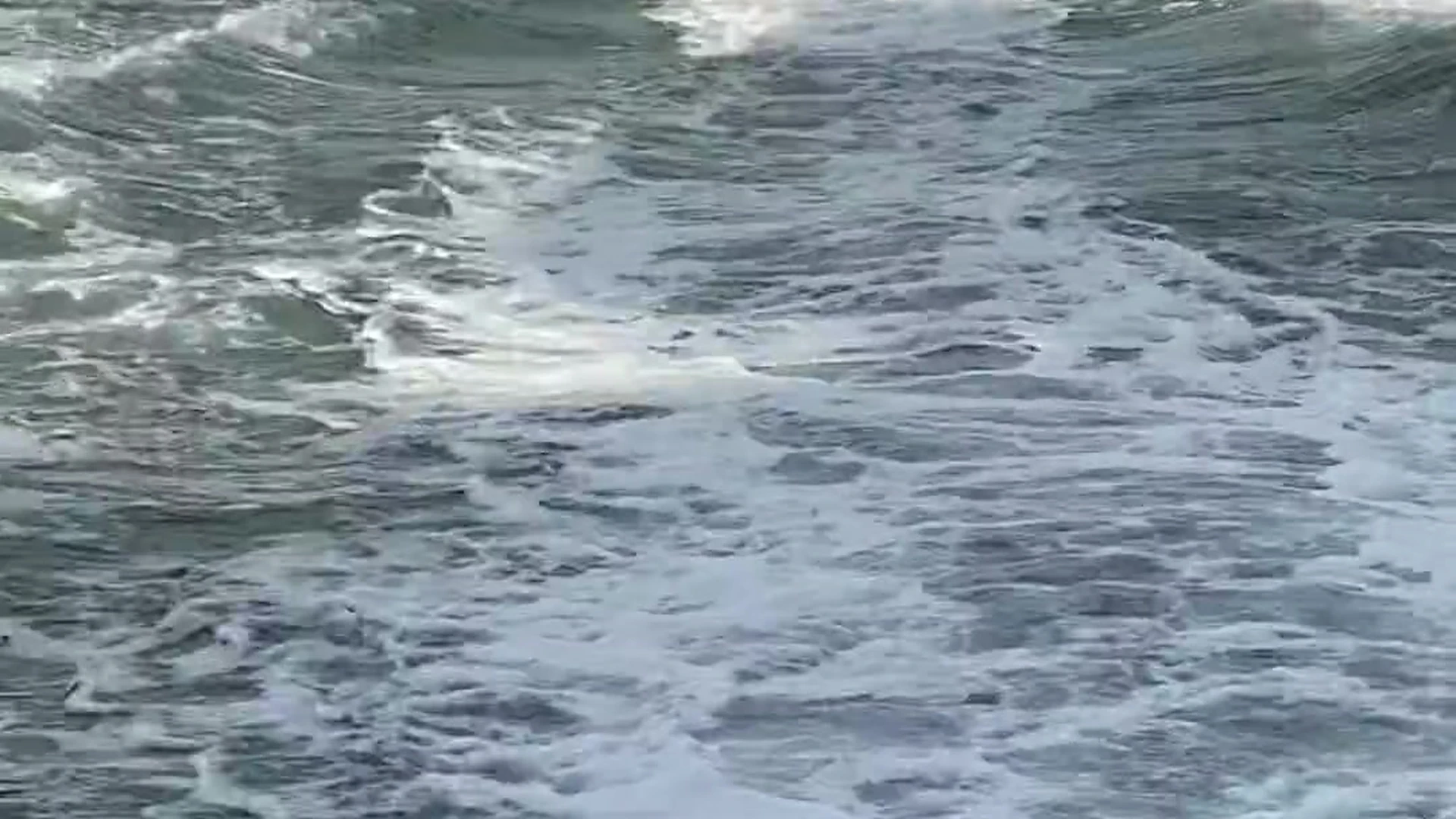 Magnetic  Bisexual Malu Trevejo leaks pic Exclusive full video EPIC