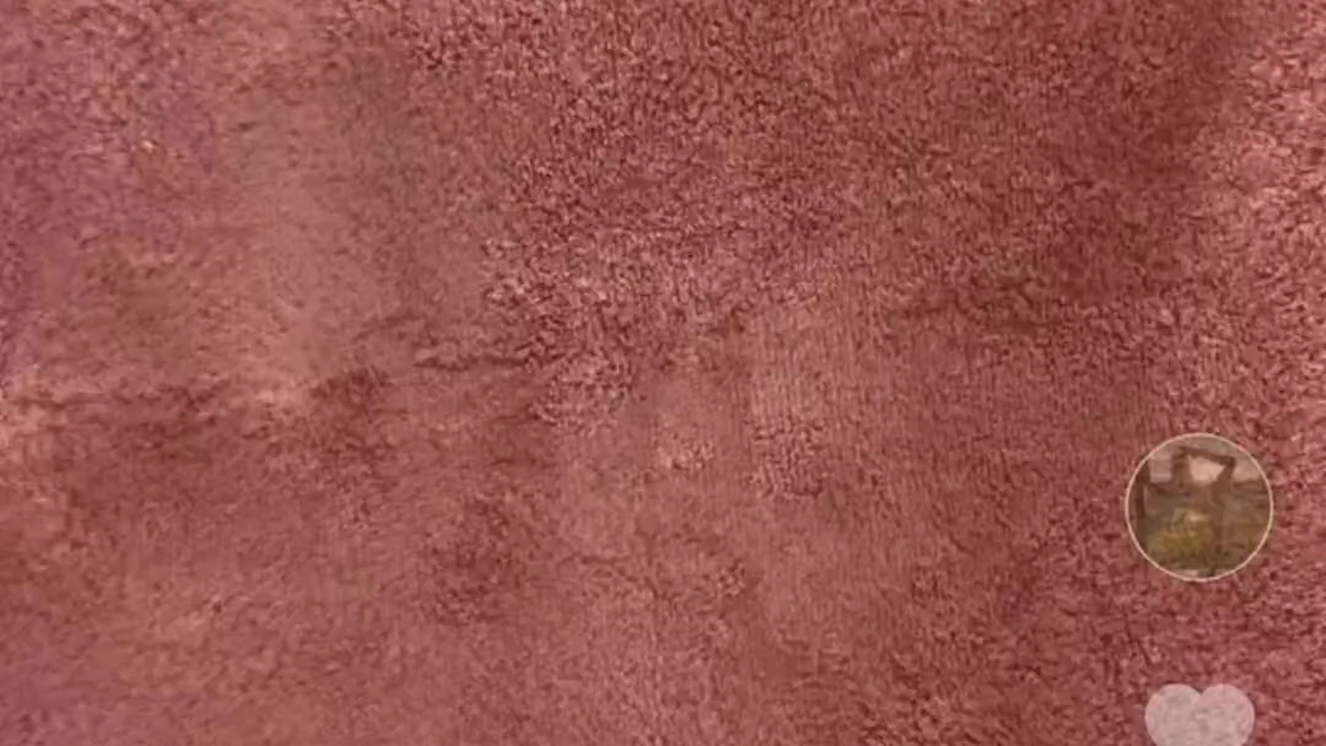 Australian Bree Louise of leaks